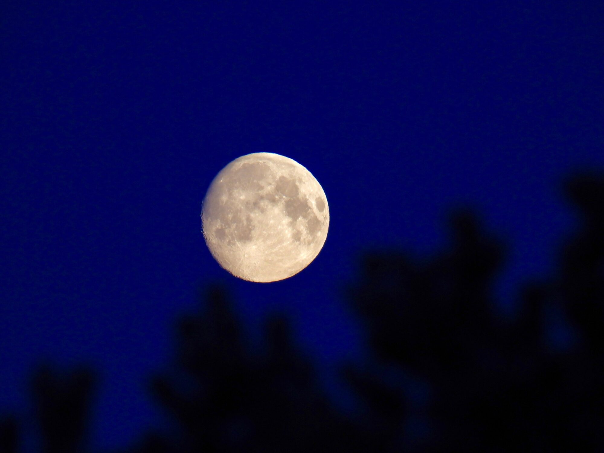 Valokuvaaja: Juhani Peltonen