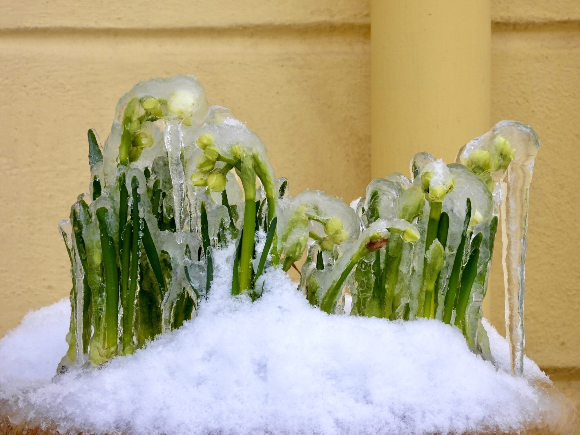 Valokuvaaja: Juhani Peltonen