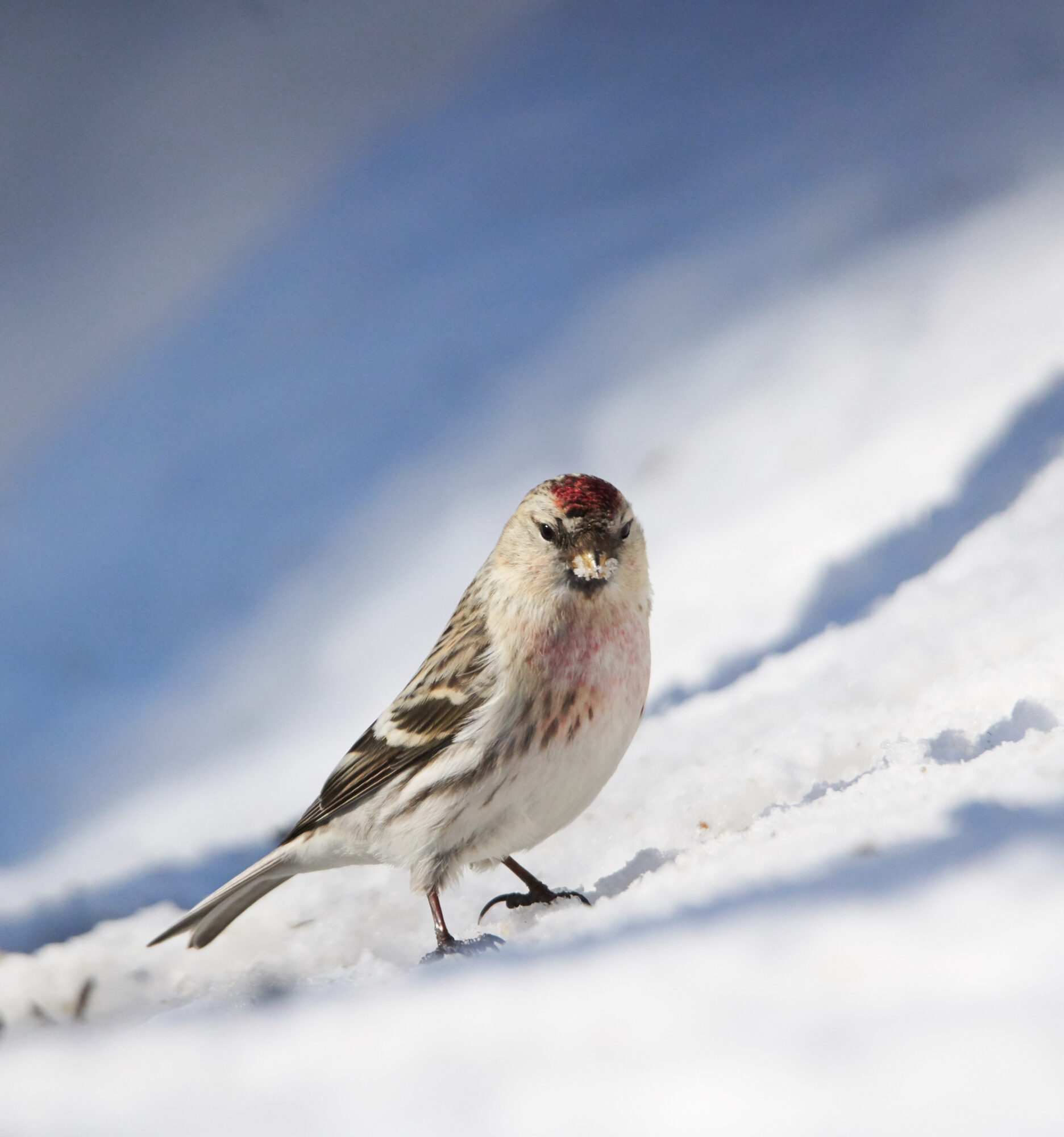 Valokuvaaja: Tarja Kouvo