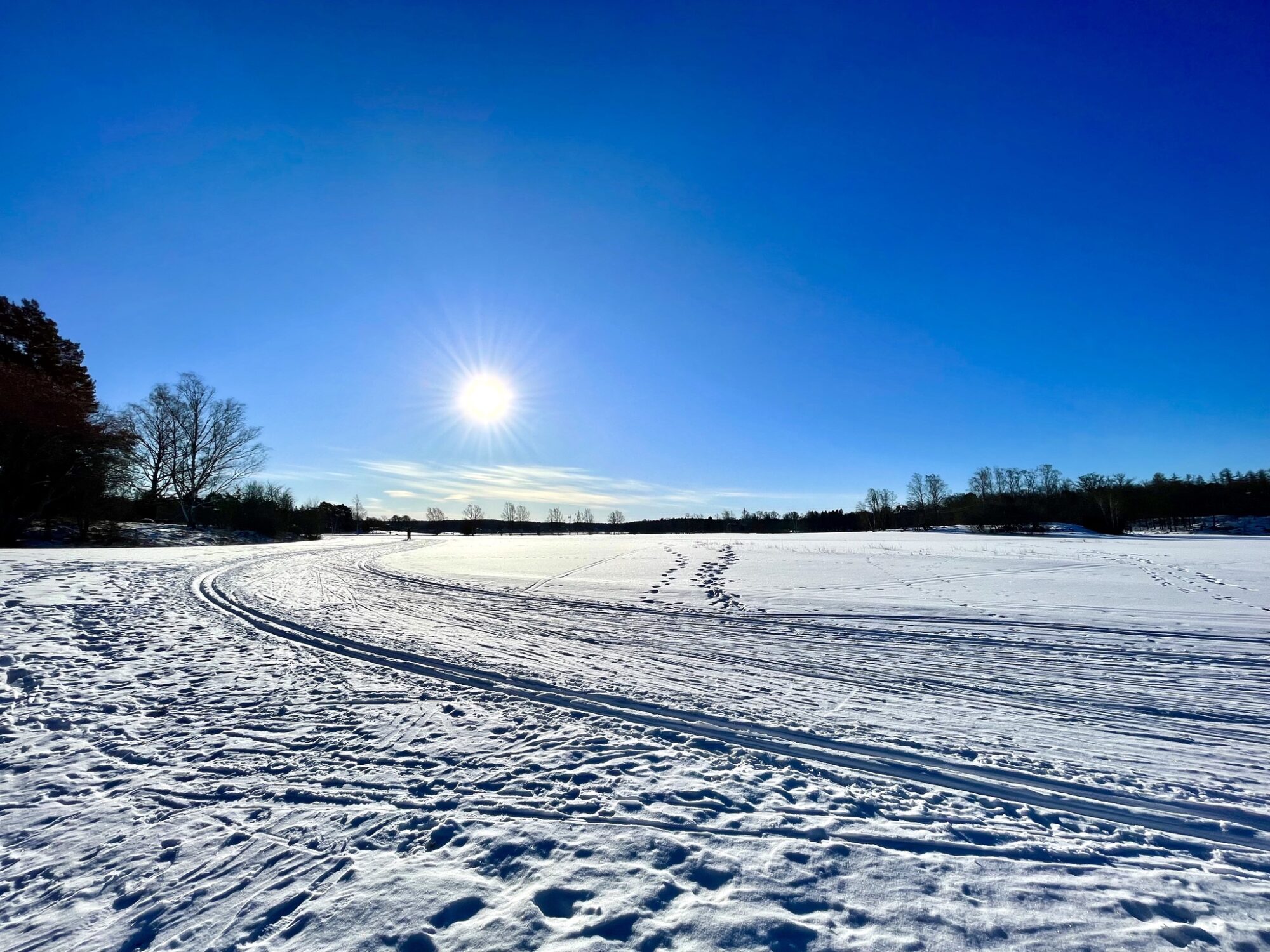 Valokuvaaja: Juhani Peltonen
