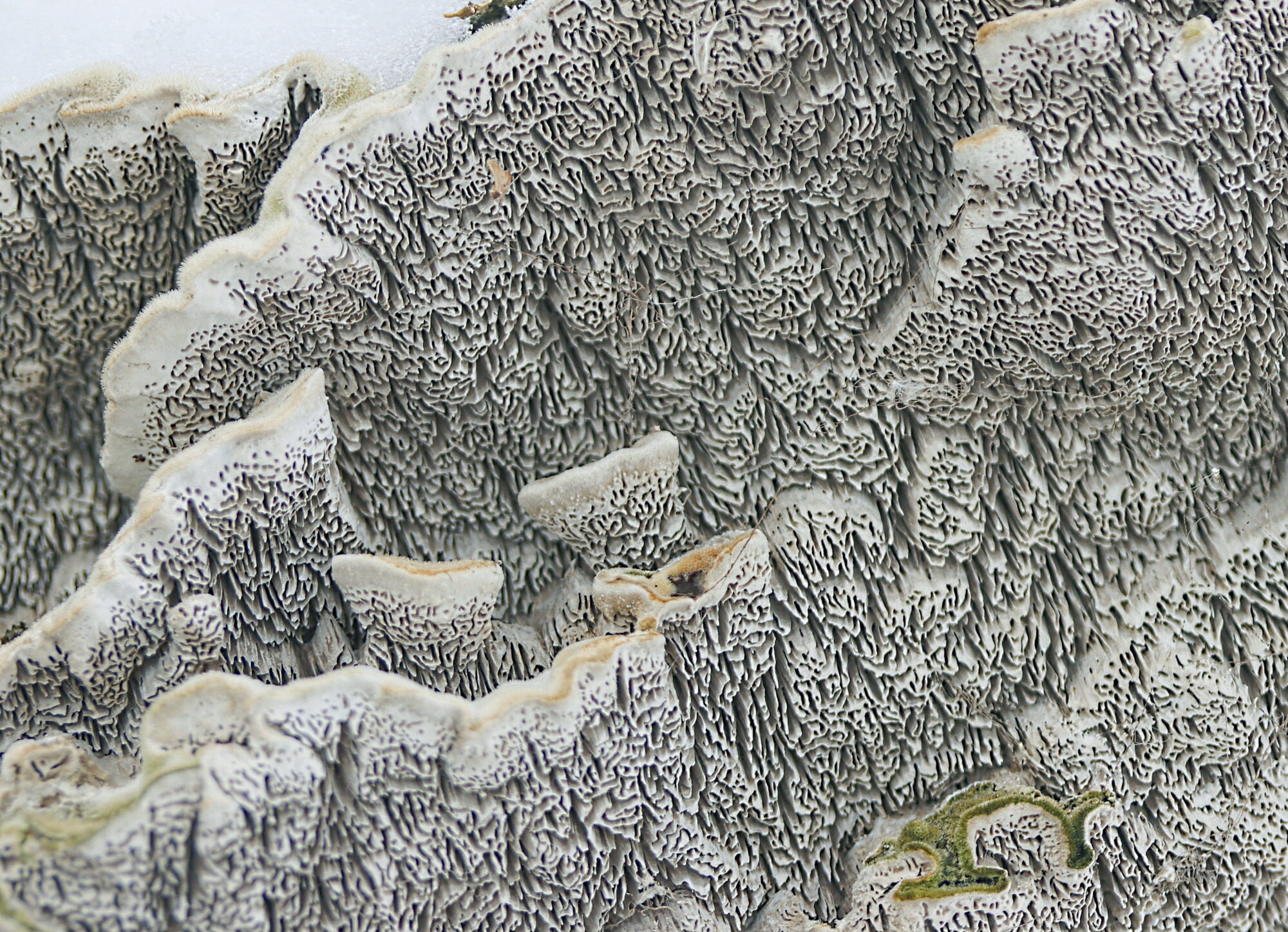 Valokuvaaja: Ritva Nieminen