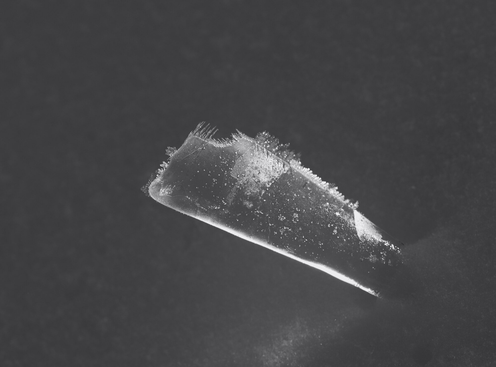 Valokuvaaja: Ritva Nieminen