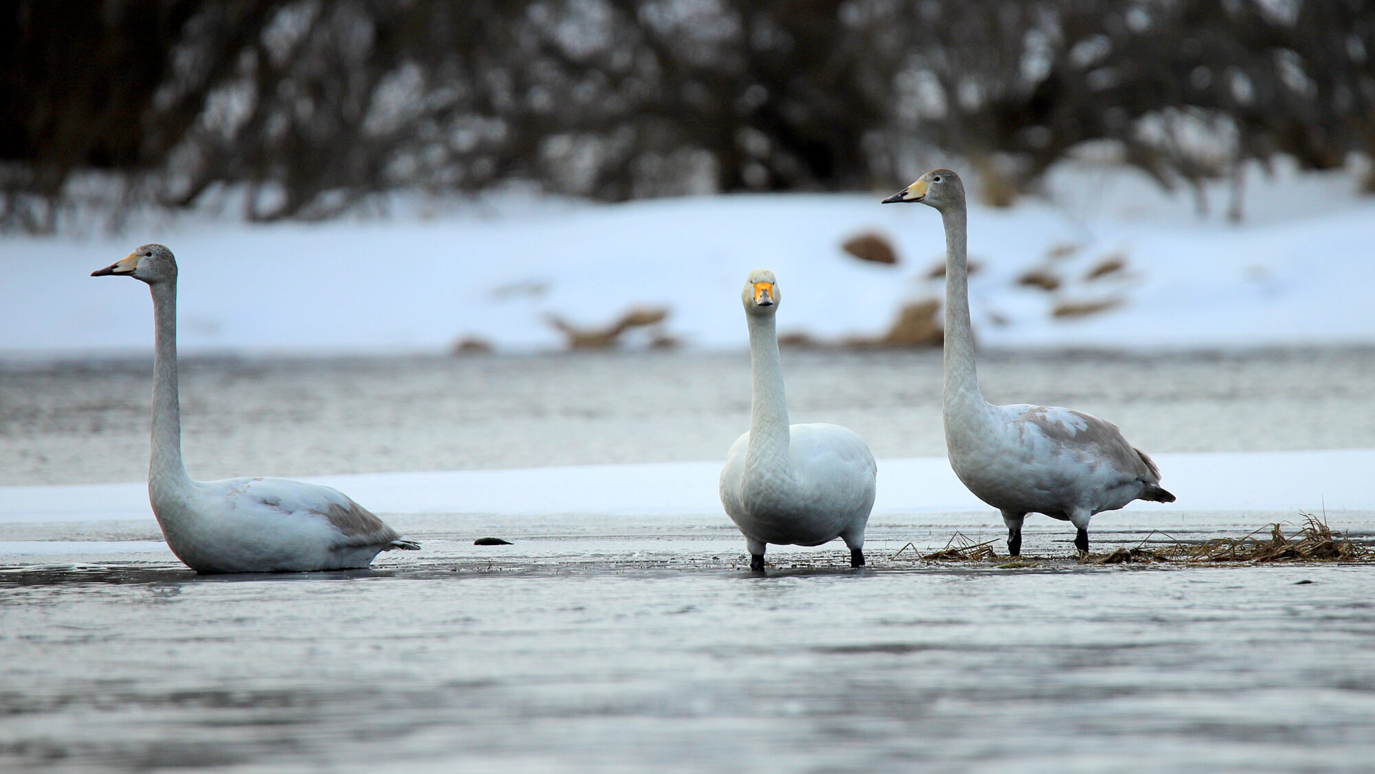Valokuvaaja: sirpa Jyske