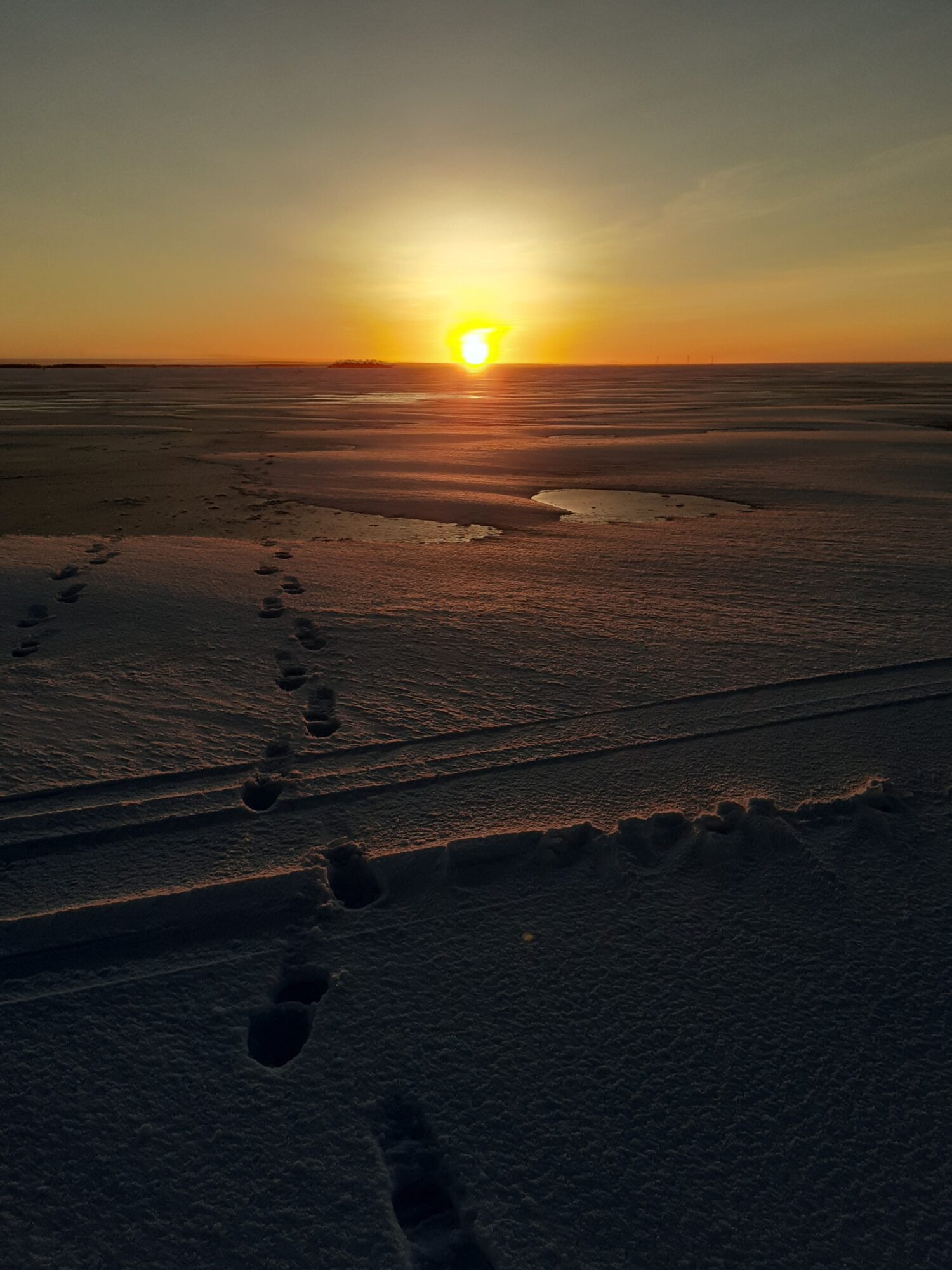 Valokuvaaja: Jari Utriainen