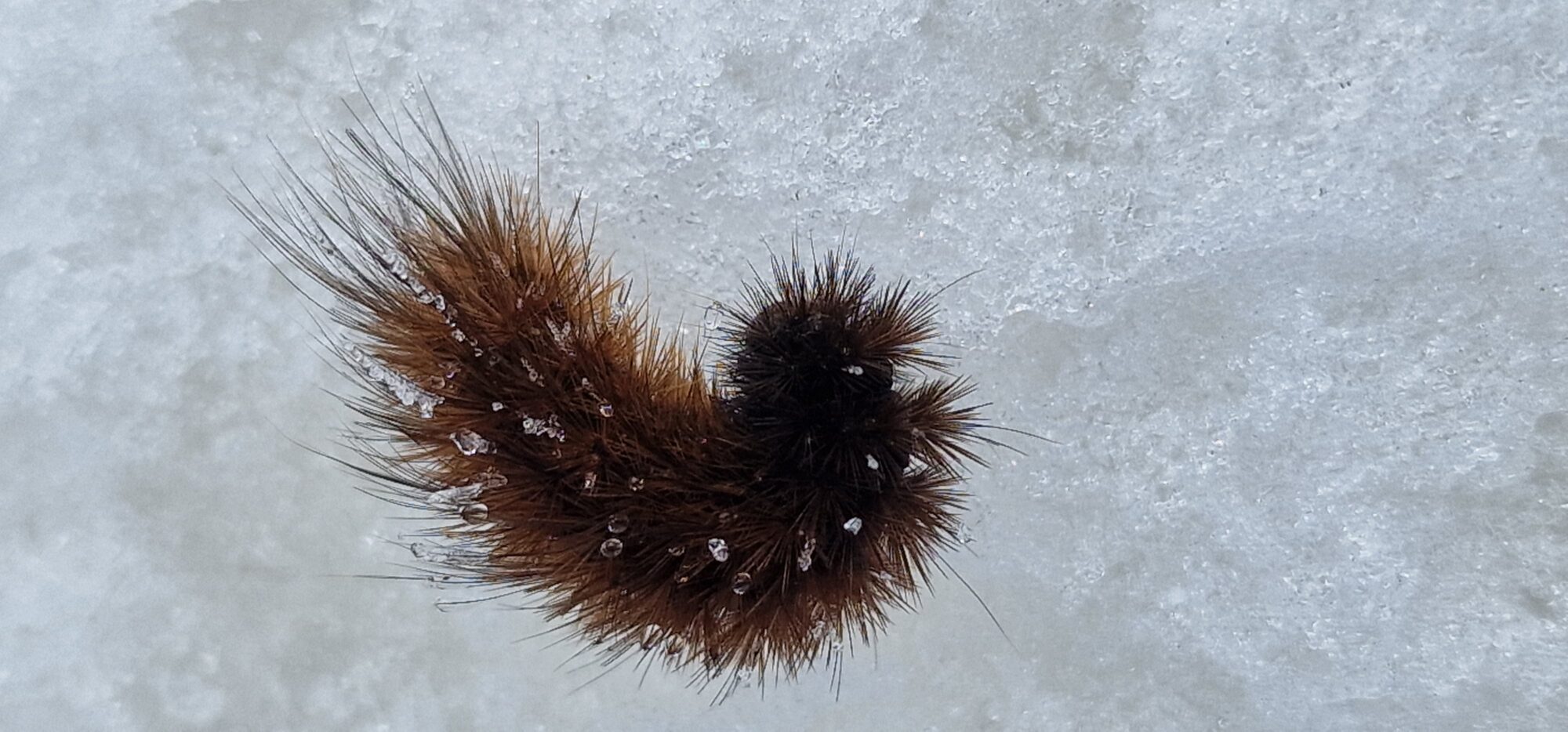 Valokuvaaja: Hanna Rönty