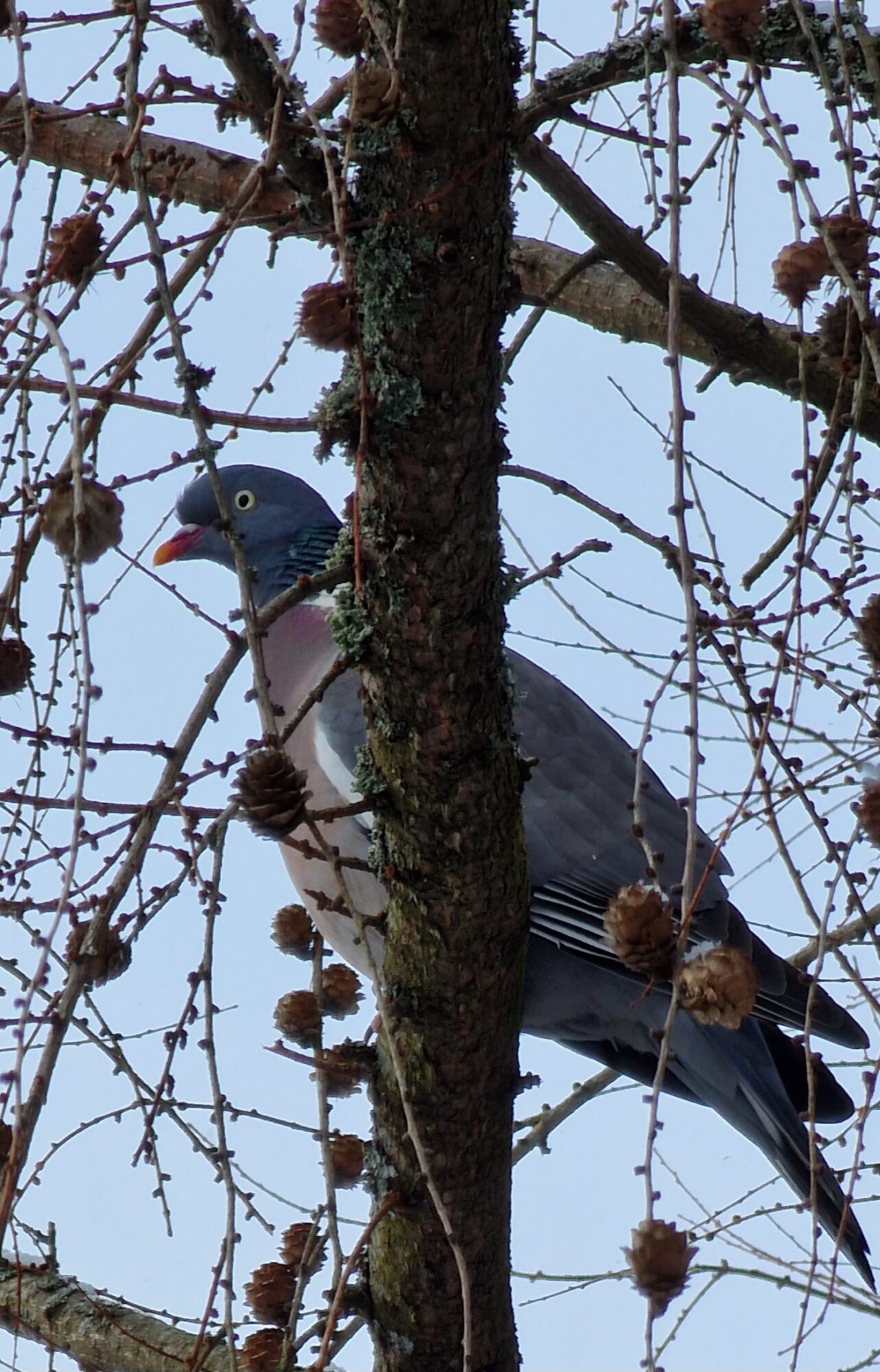 Valokuvaaja: Hanna Rönty Valokuvaaja: Hanna Rönty