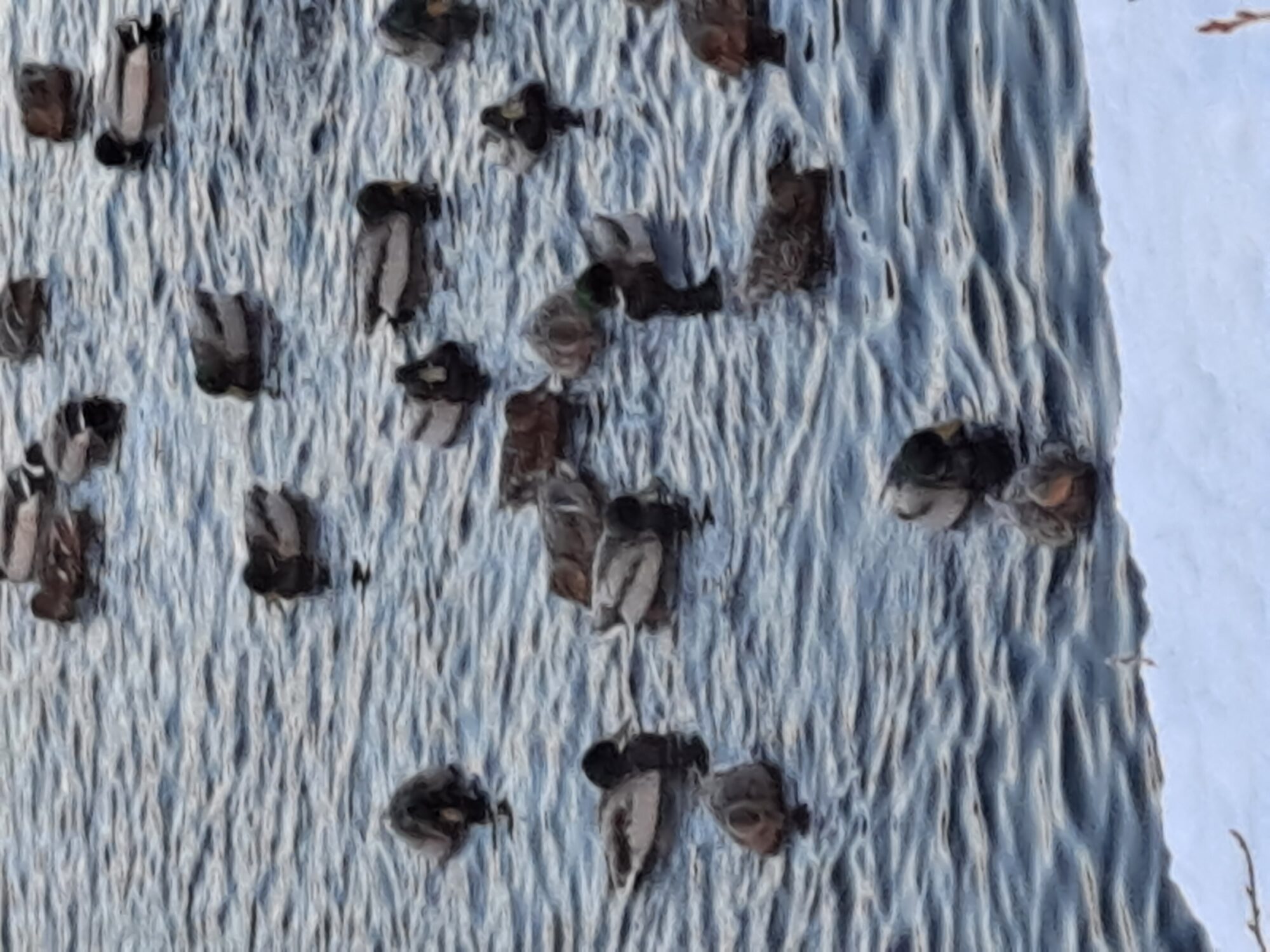 Valokuvaaja: Hannu Rissanen