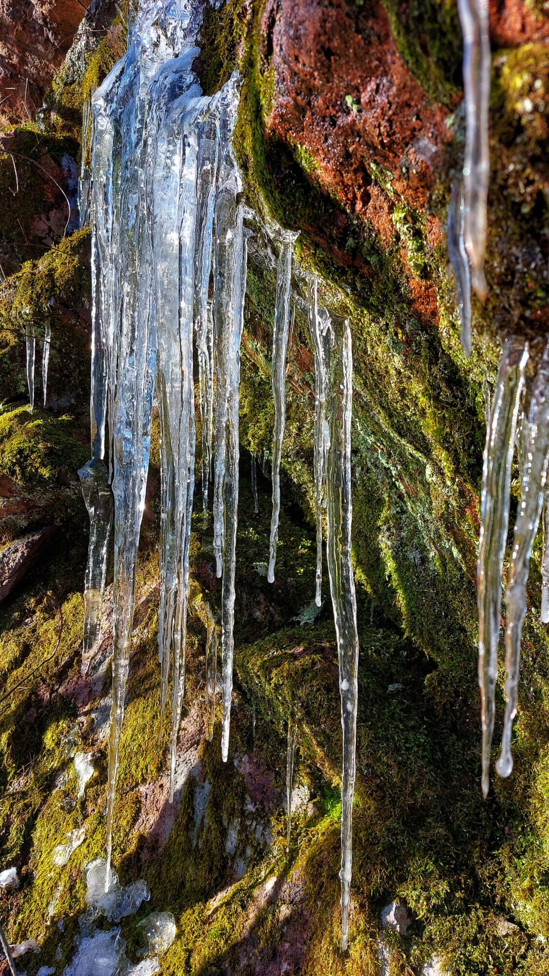 Valokuvaaja: Susanna Hannula Valokuvaaja: Susanna Hannula