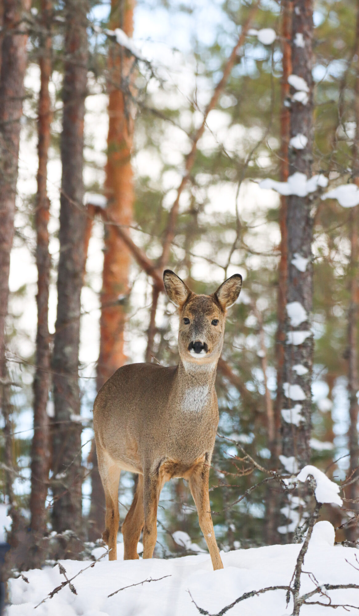 Valokuvaaja: Katariina Heikkonen