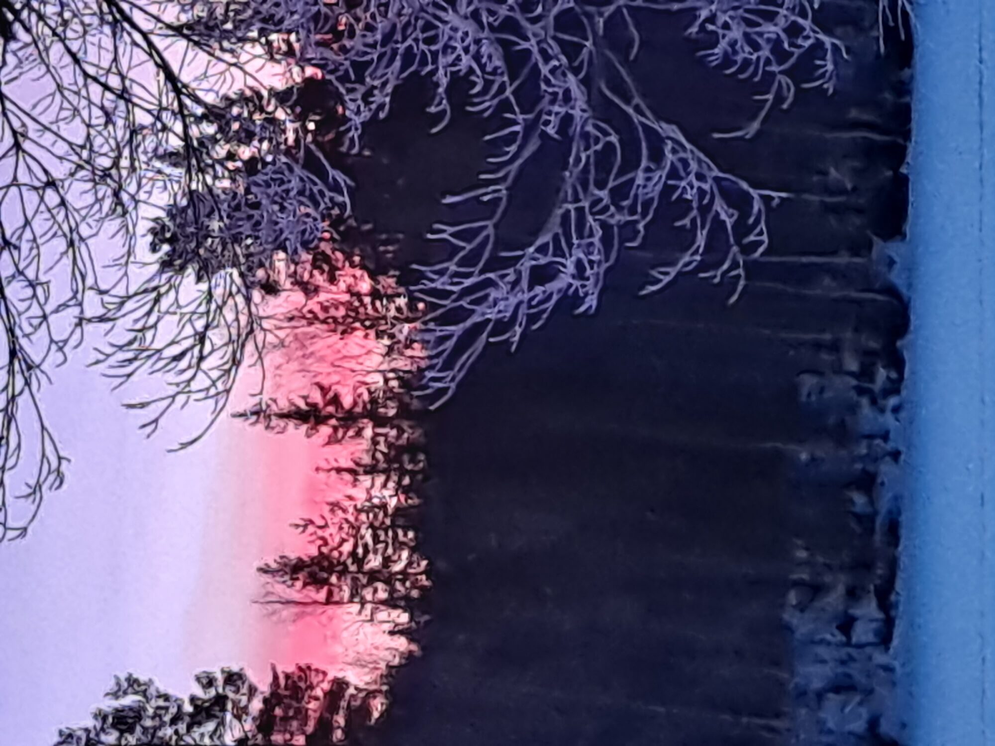 Valokuvaaja: Hannu Rissanen