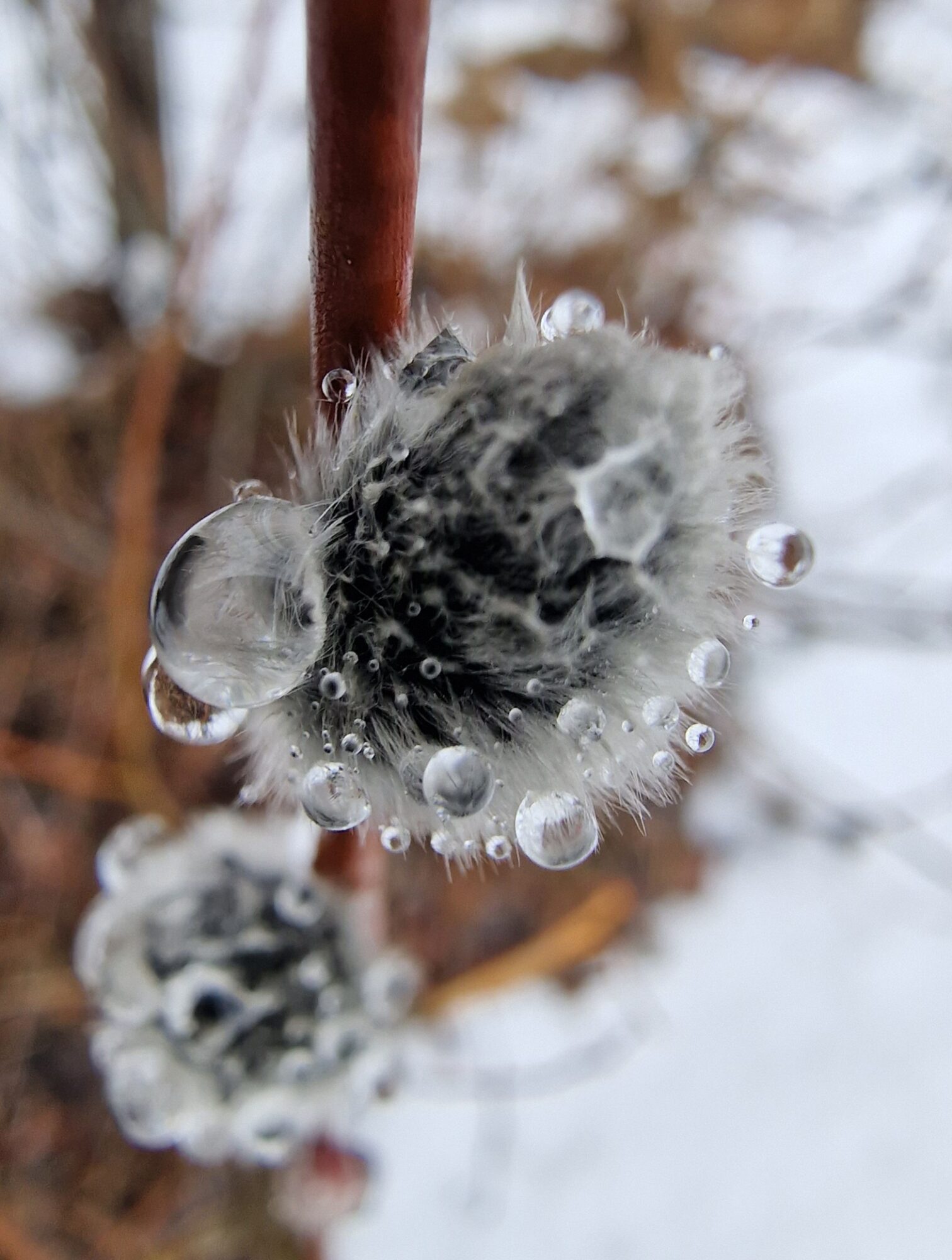 Valokuvaaja: Hanna Rönty