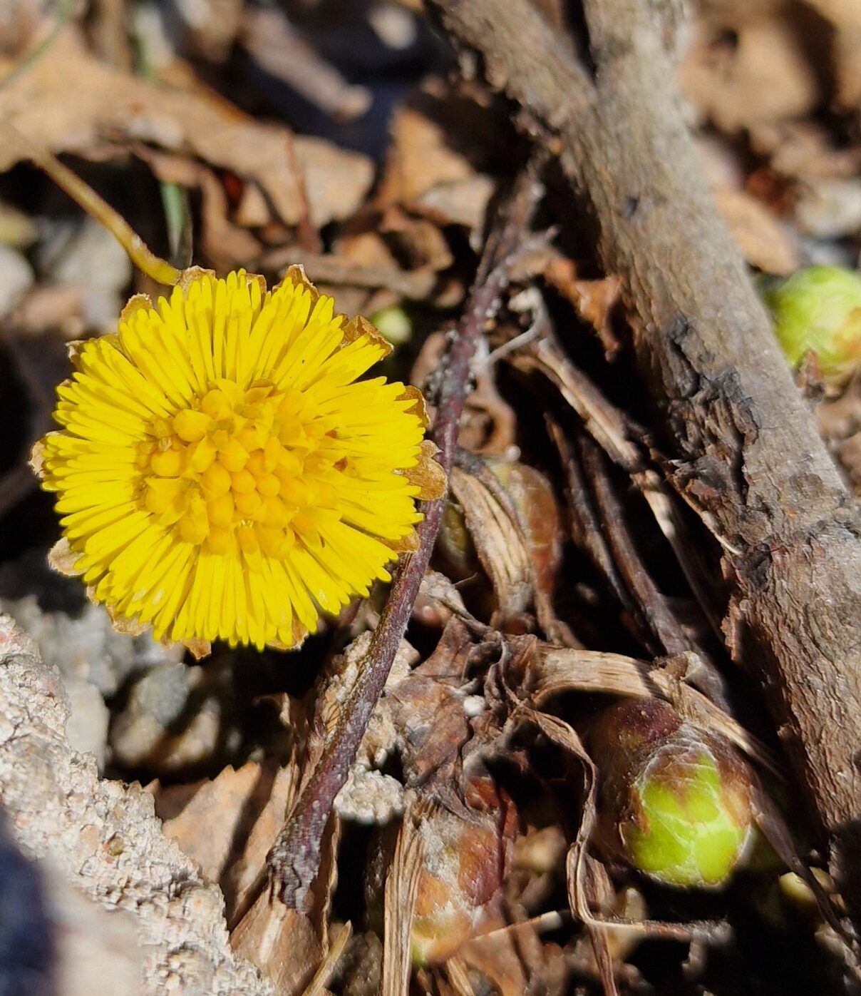 Valokuvaaja: Hanna Rönty Valokuvaaja: Hanna Rönty