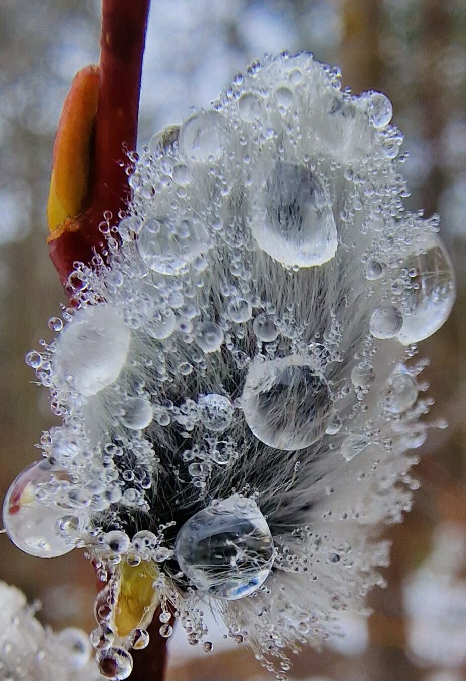 Valokuvaaja: Hanna Rönty