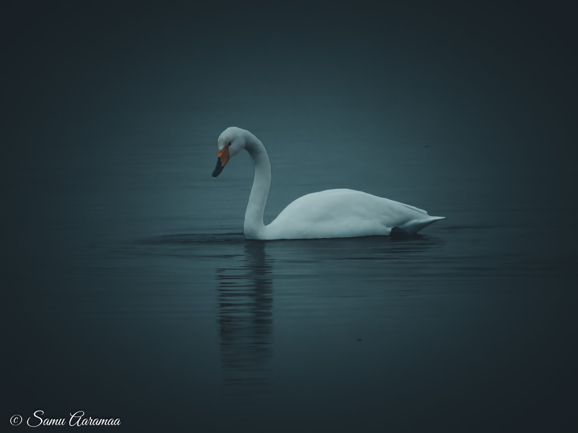 Valokuvaaja: Samu Aaramaa