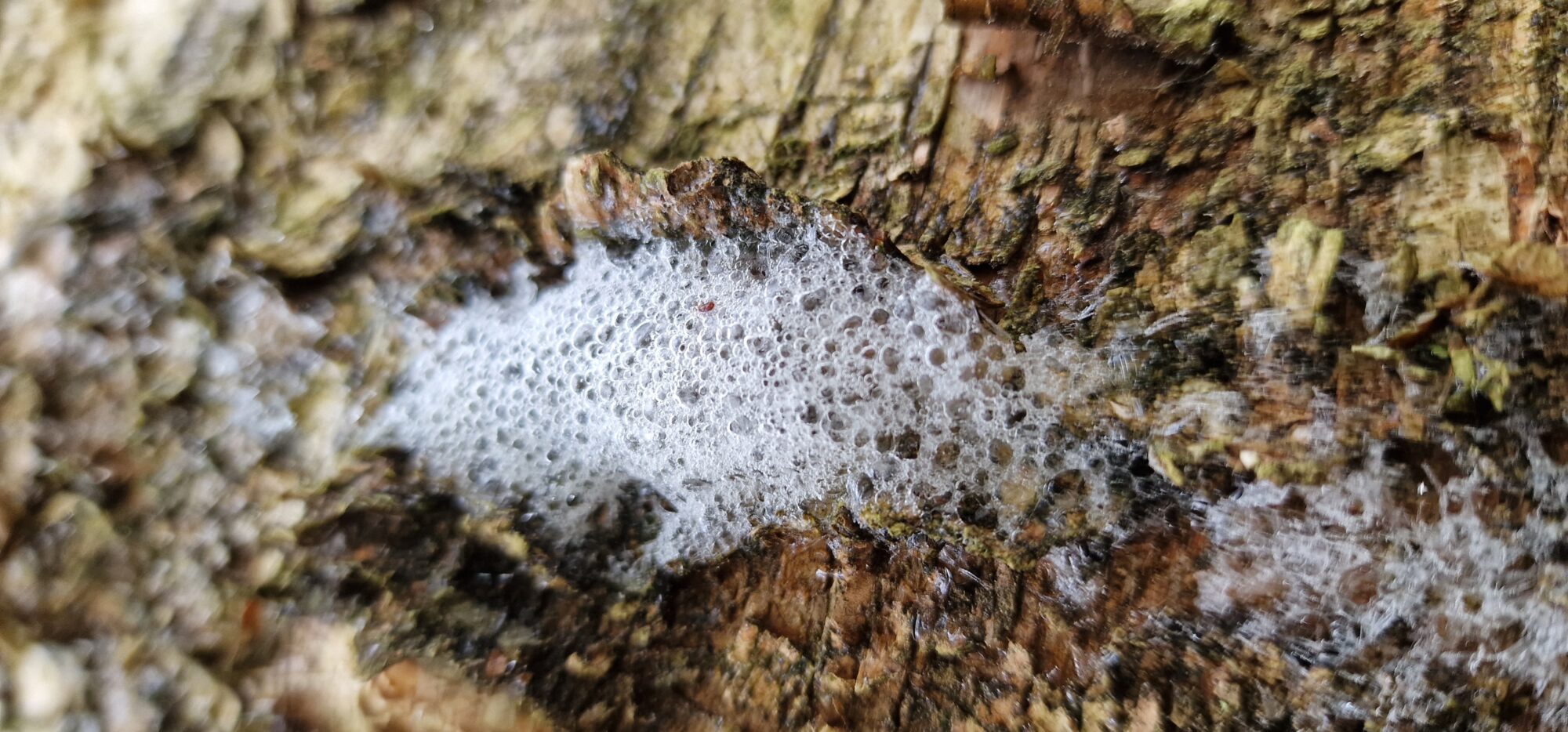 Valokuvaaja: Hanna Rönty