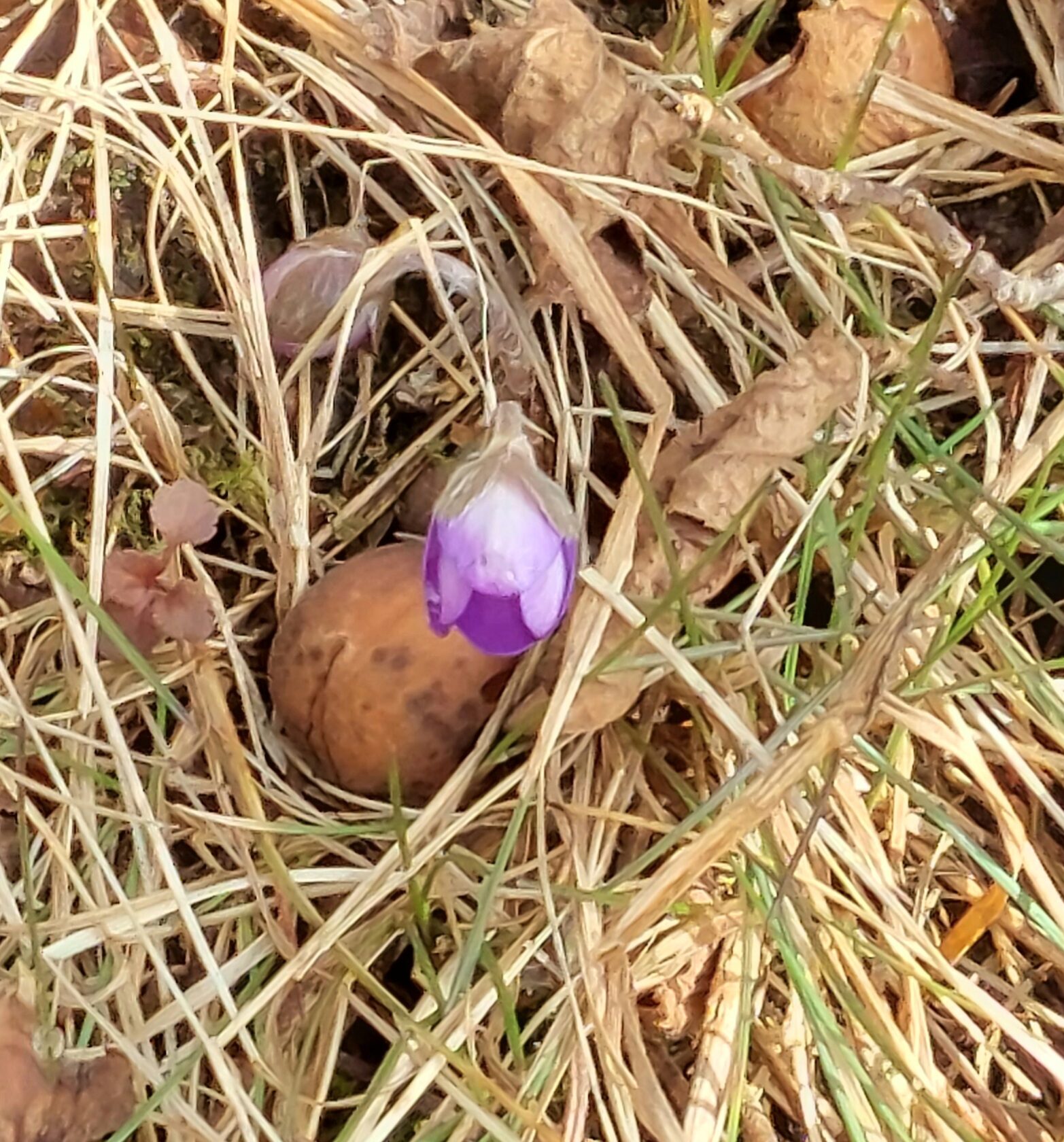 Valokuvaaja: Birgit Silvennoinen