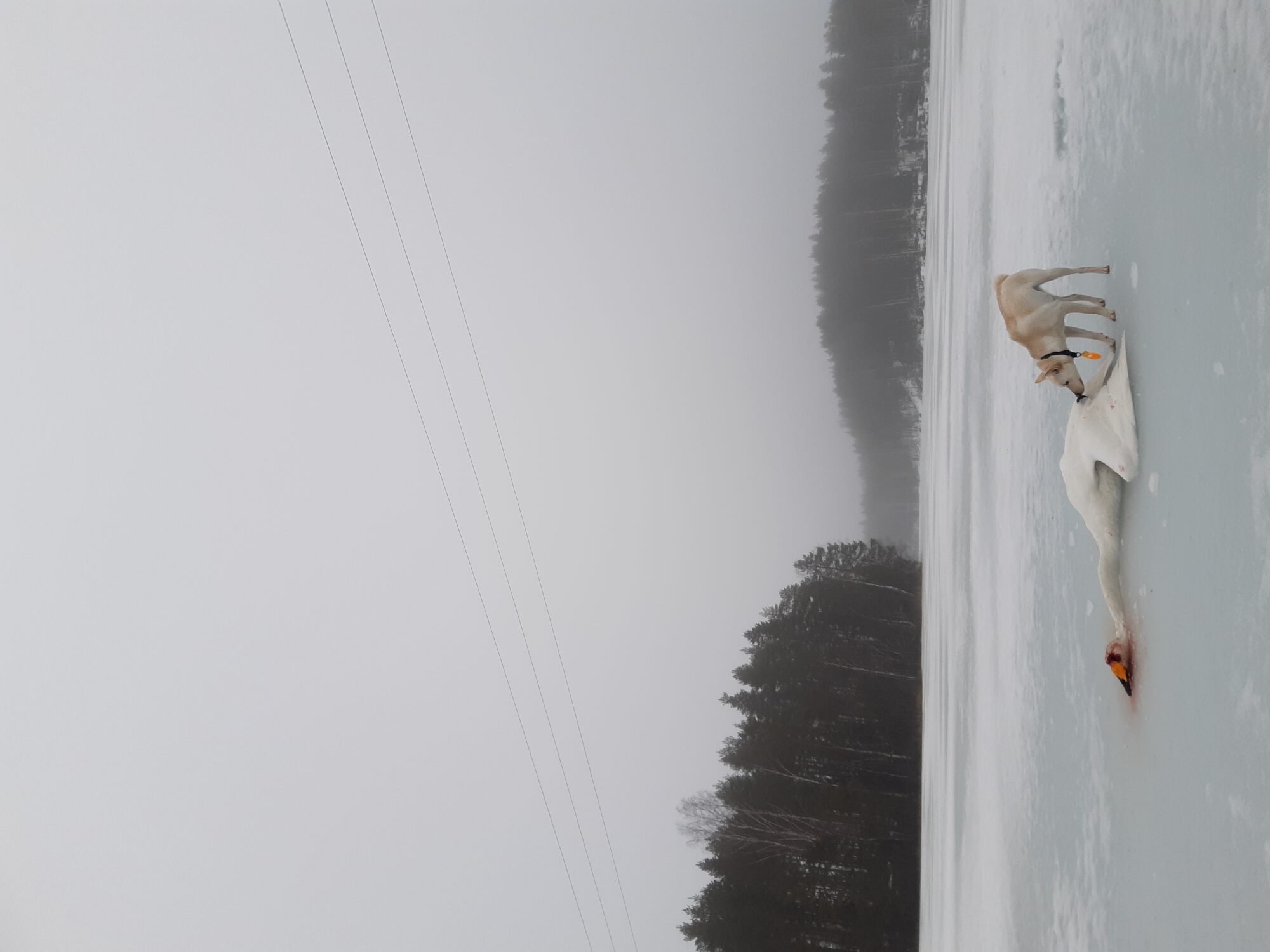 Valokuvaaja: Lars Rikberg