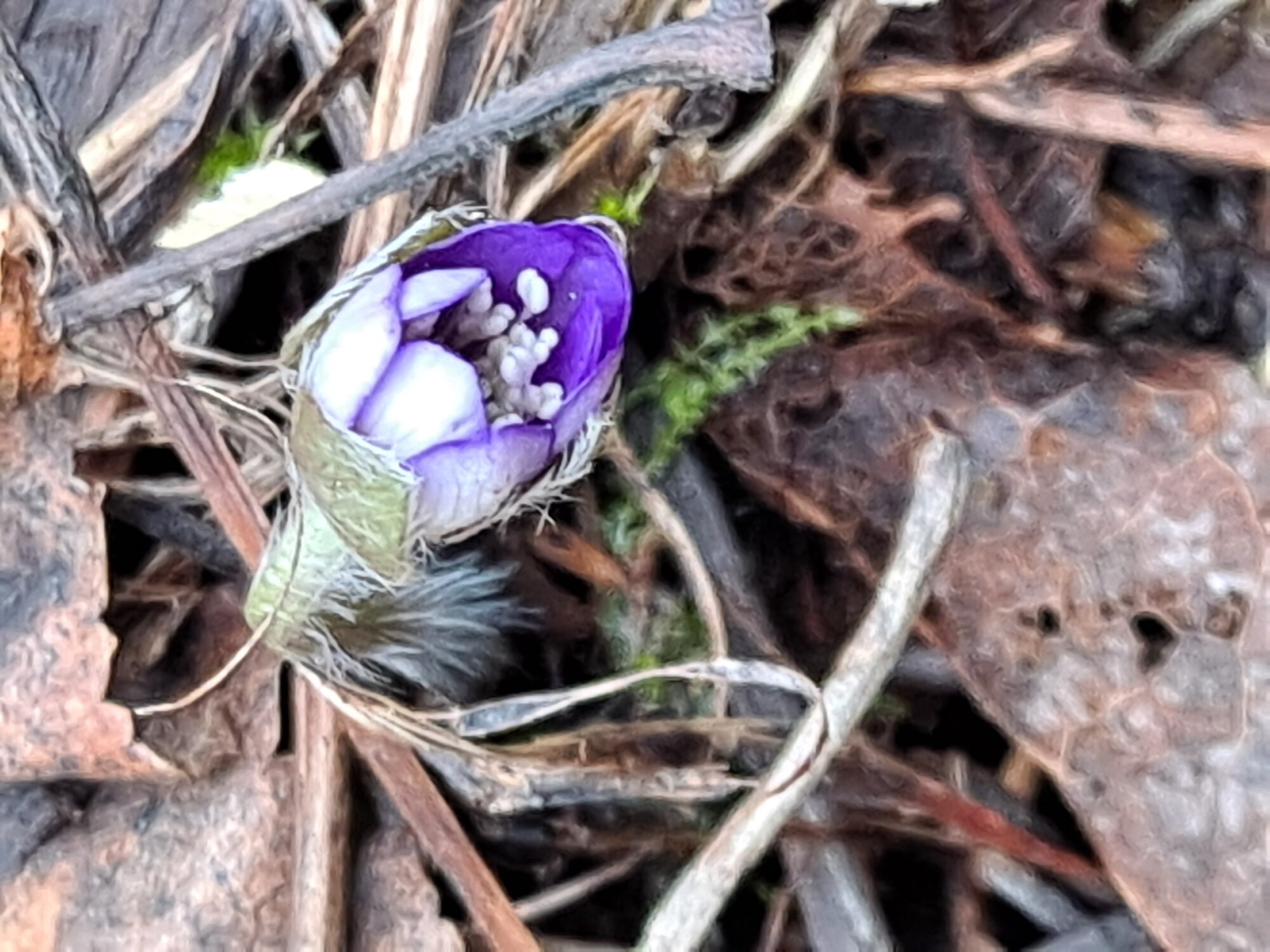 Valokuvaaja: Satu Suuntala