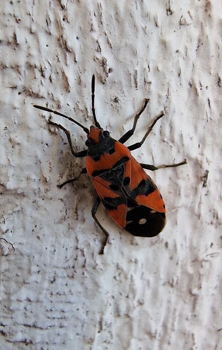 Valokuvaaja: Hanna Rönty