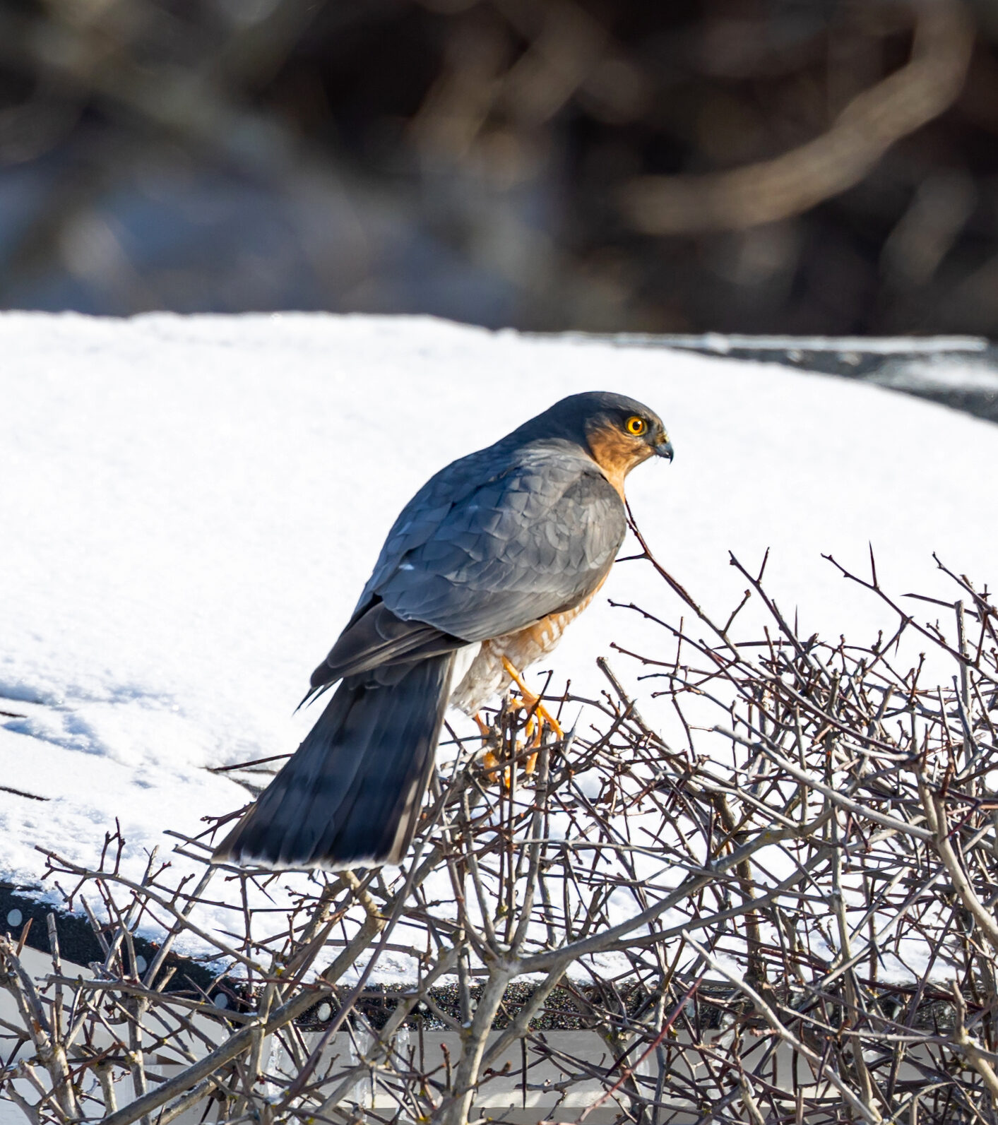 Valokuvaaja: Anne keskivinkka