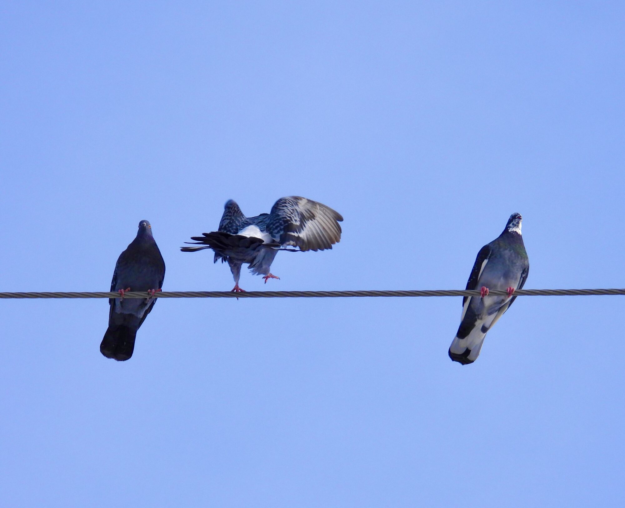 Valokuvaaja: Juhani Peltonen