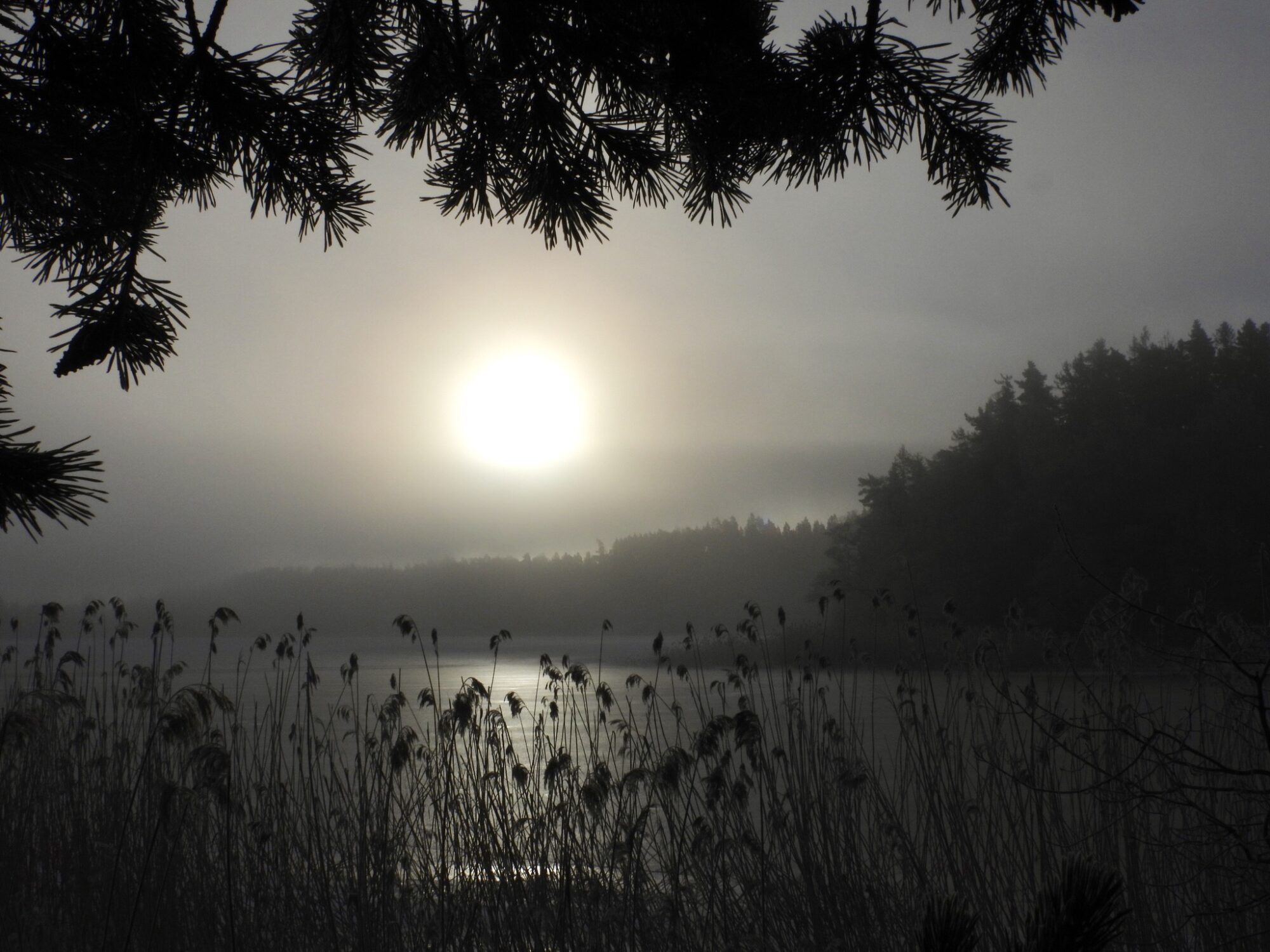 Valokuvaaja: Juhani Peltonen