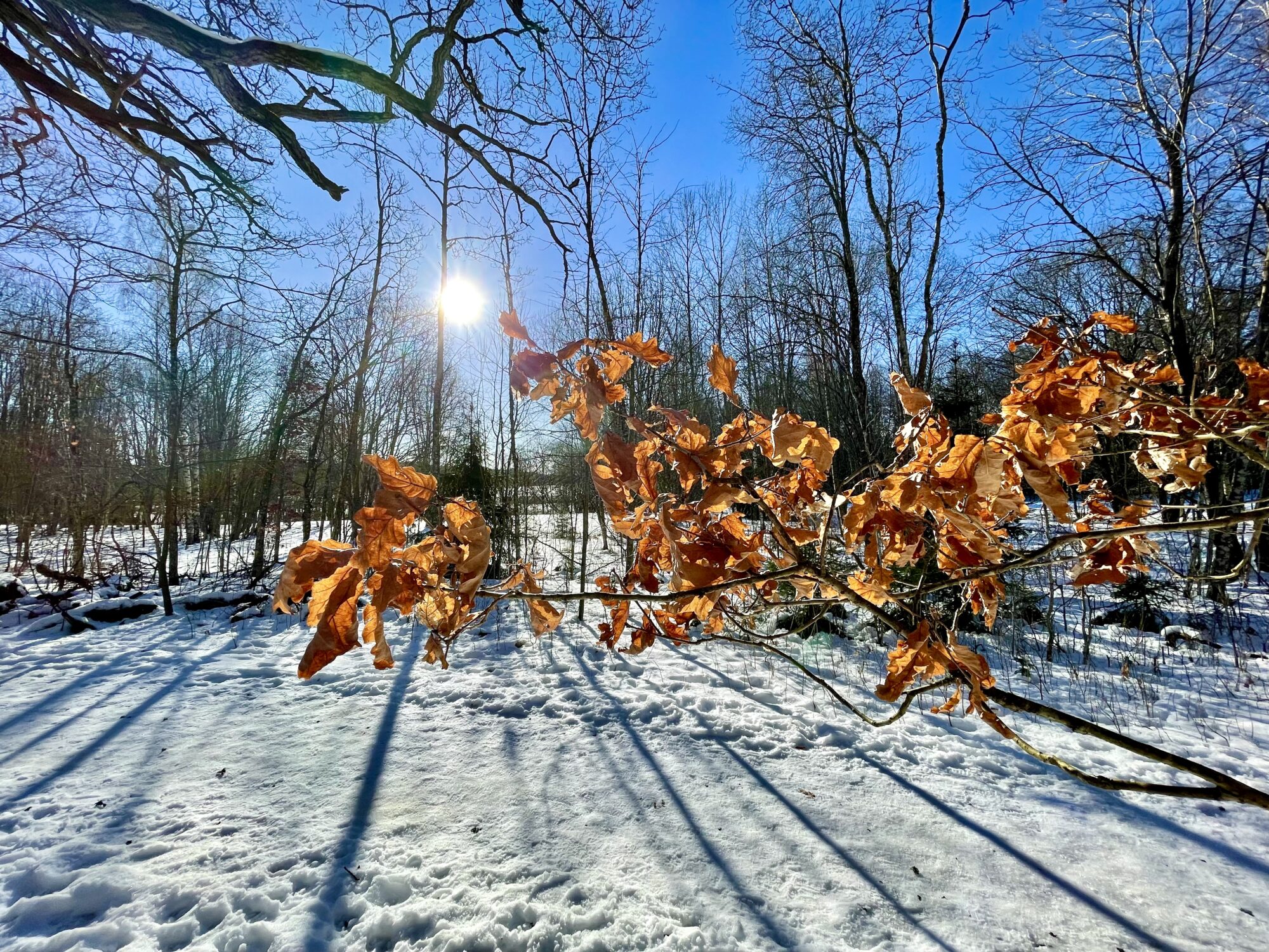 Valokuvaaja: Juhani Peltonen Valokuvaaja: Juhani Peltonen