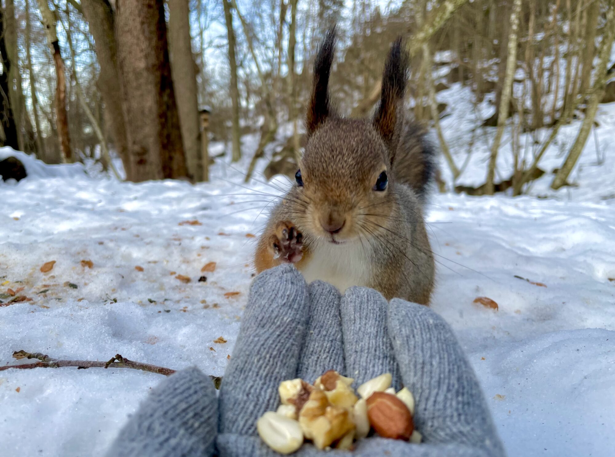 Valokuvaaja: Juhani Peltonen