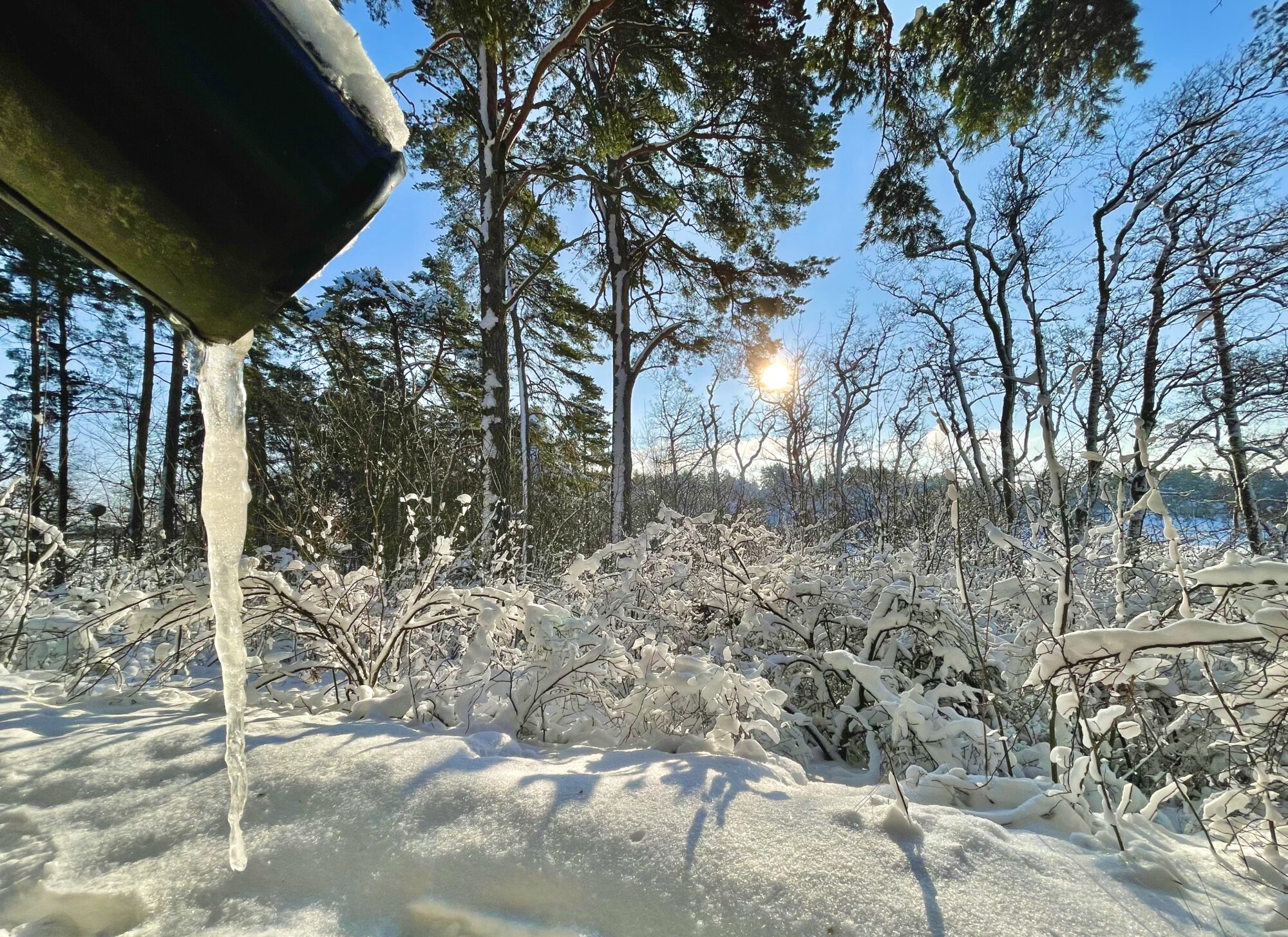 Valokuvaaja: Juhani Peltonen