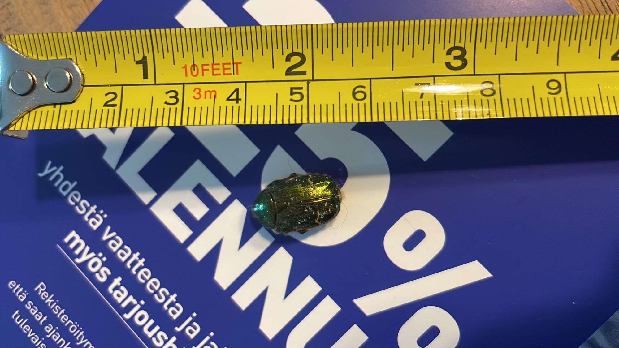 Valokuvaaja: Pilvi Castrén