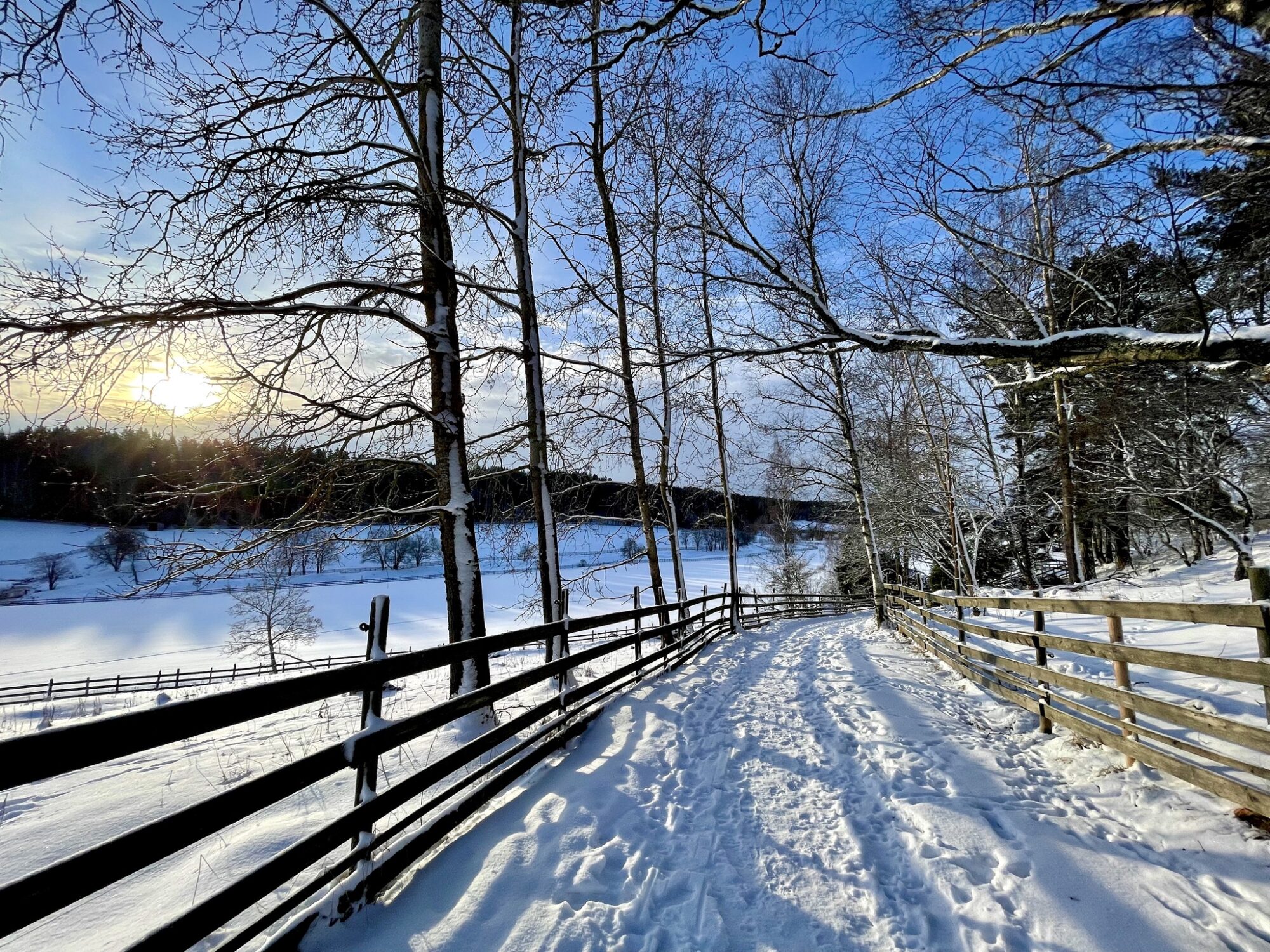 Valokuvaaja: Juhani Peltonen