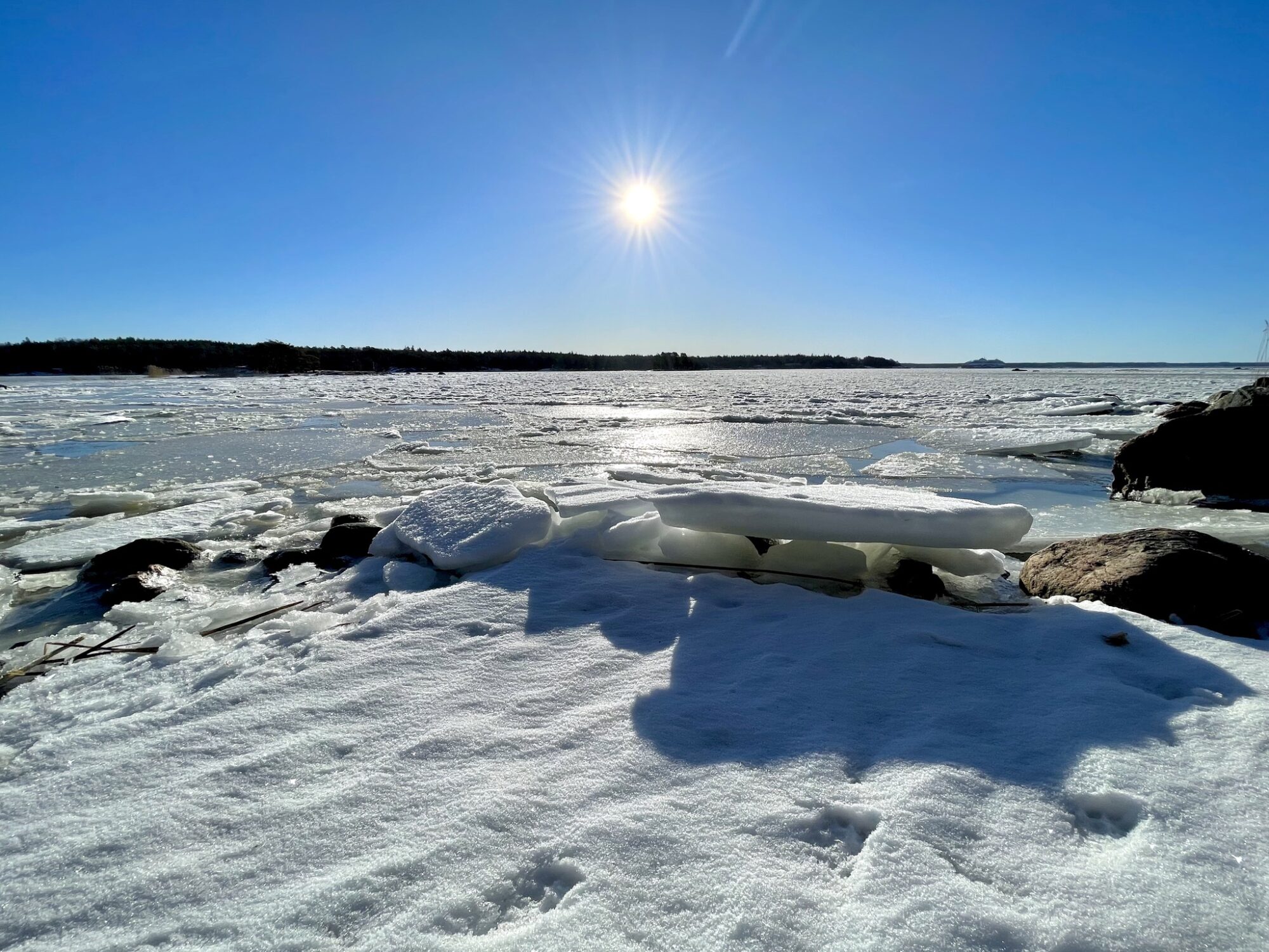 Valokuvaaja: Juhani Peltonen