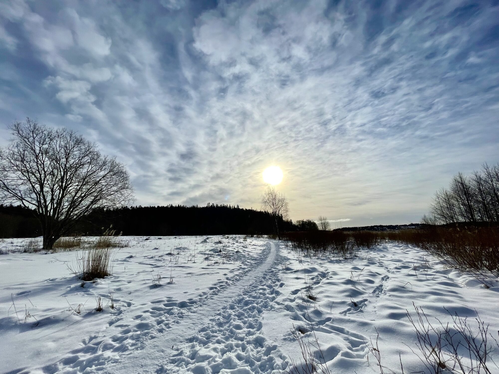 Valokuvaaja: Juhani Peltonen