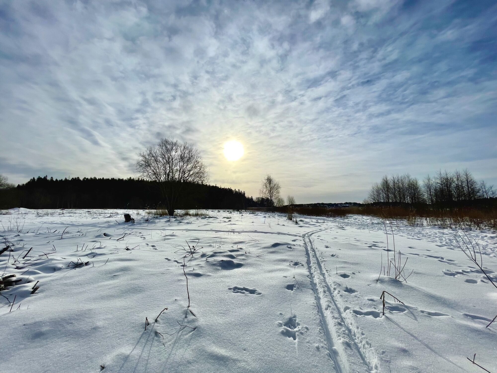 Valokuvaaja: Juhani Peltonen