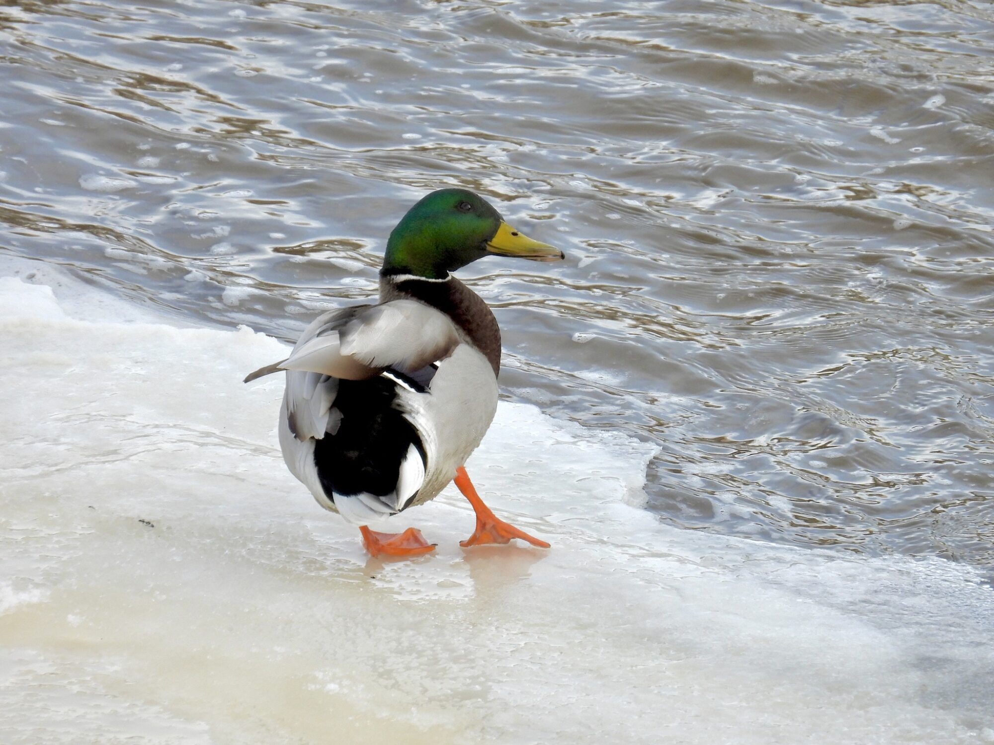 Valokuvaaja: Juhani Peltonen