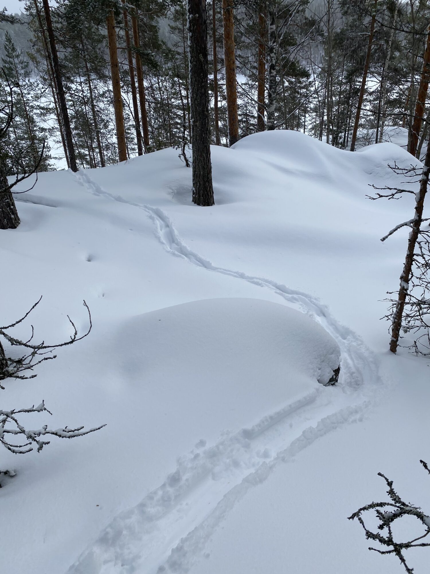 Valokuvaaja: Mikko Siikavesi Valokuvaaja: Mikko Siikavesi