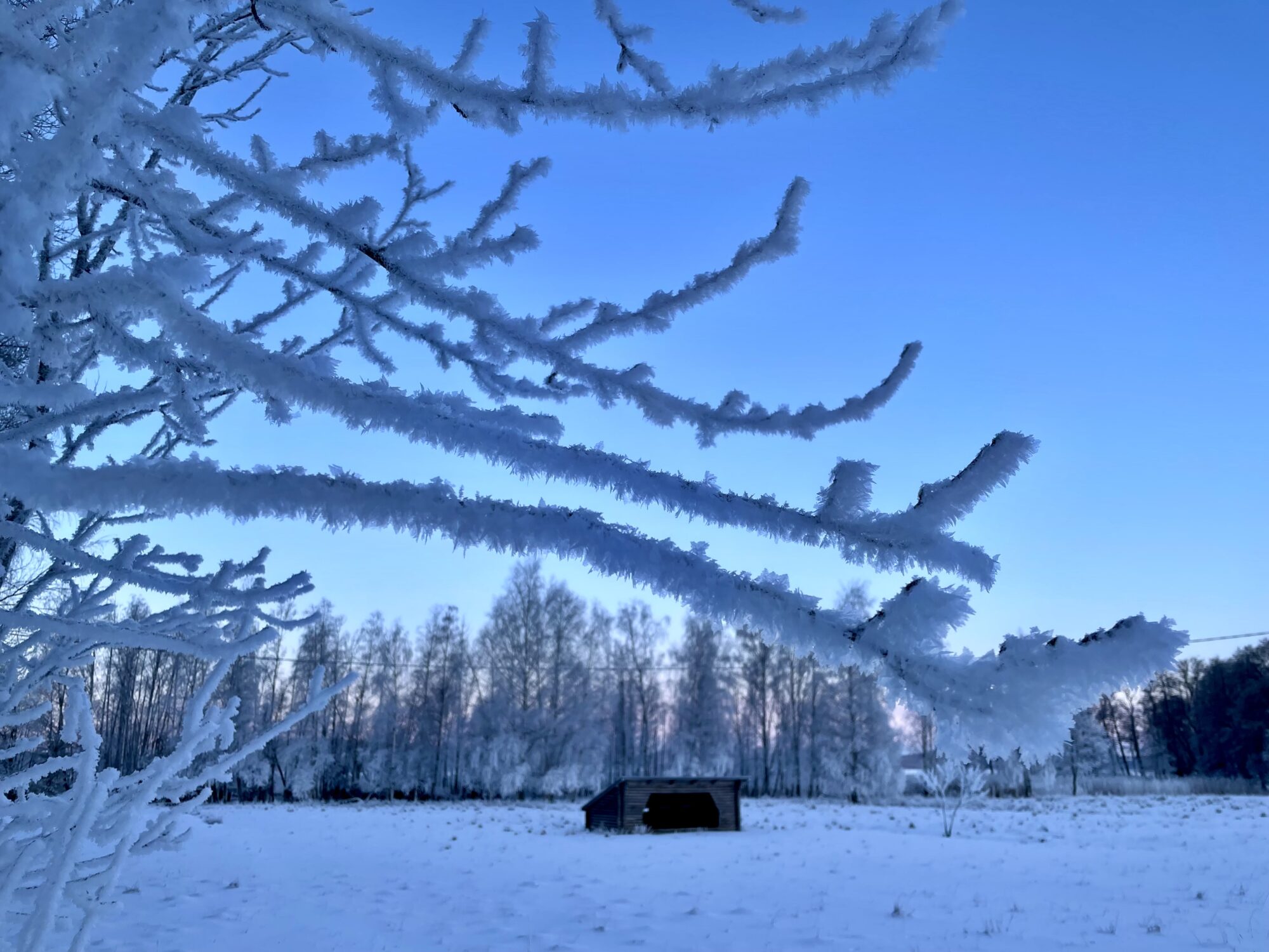 Valokuvaaja: Juhani Peltonen