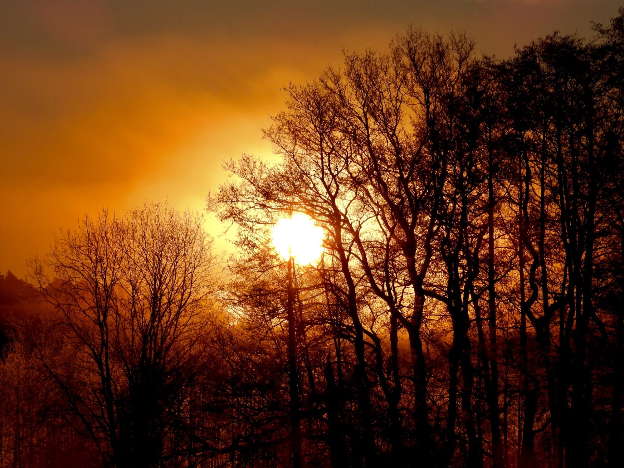 Valokuvaaja: Juhani Peltonen