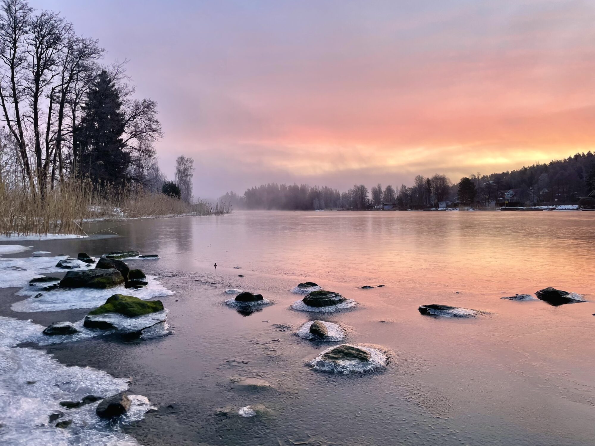 Valokuvaaja: Juhani Peltonen Valokuvaaja: Juhani Peltonen