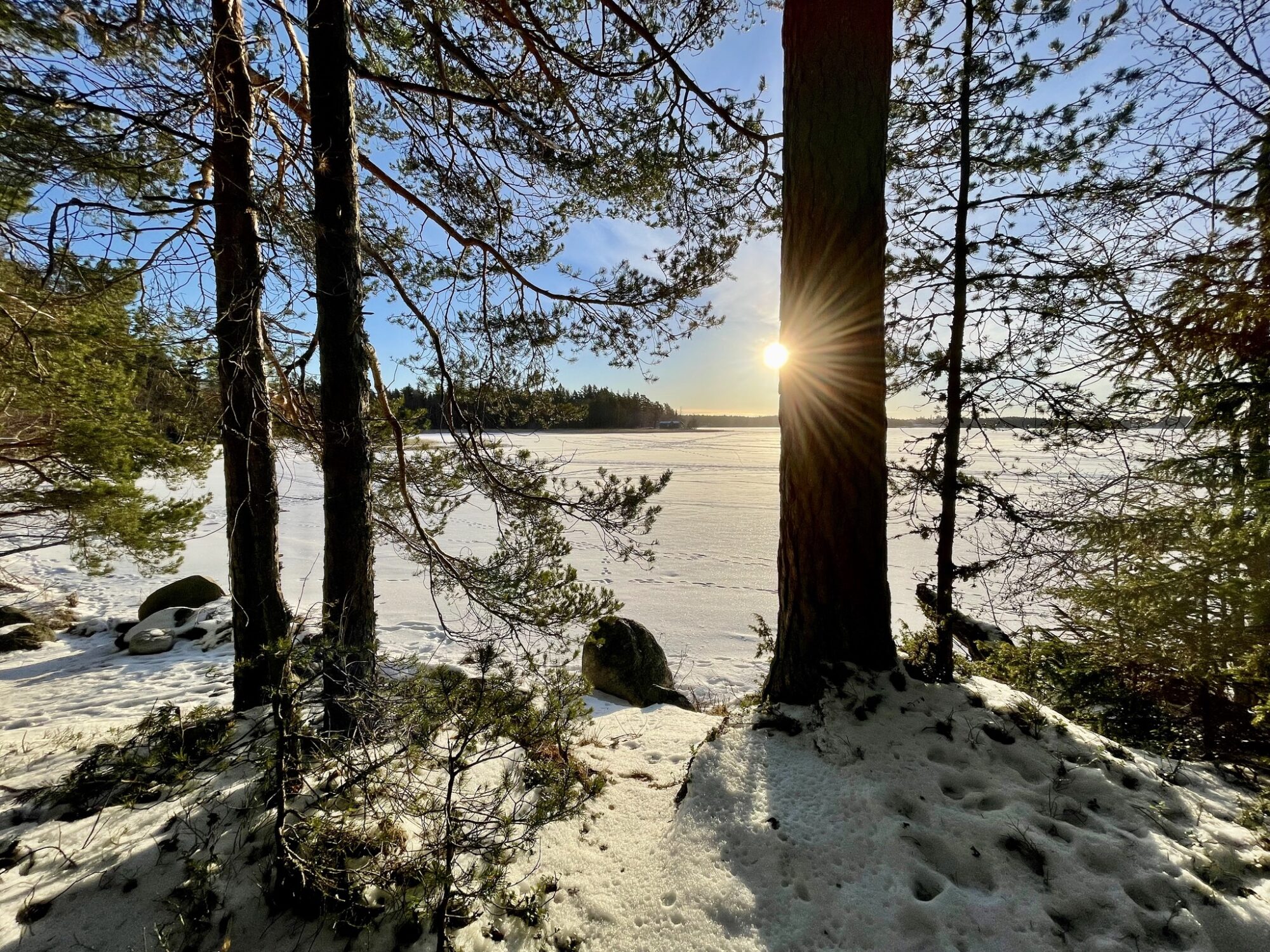Valokuvaaja: Juhani Peltonen
