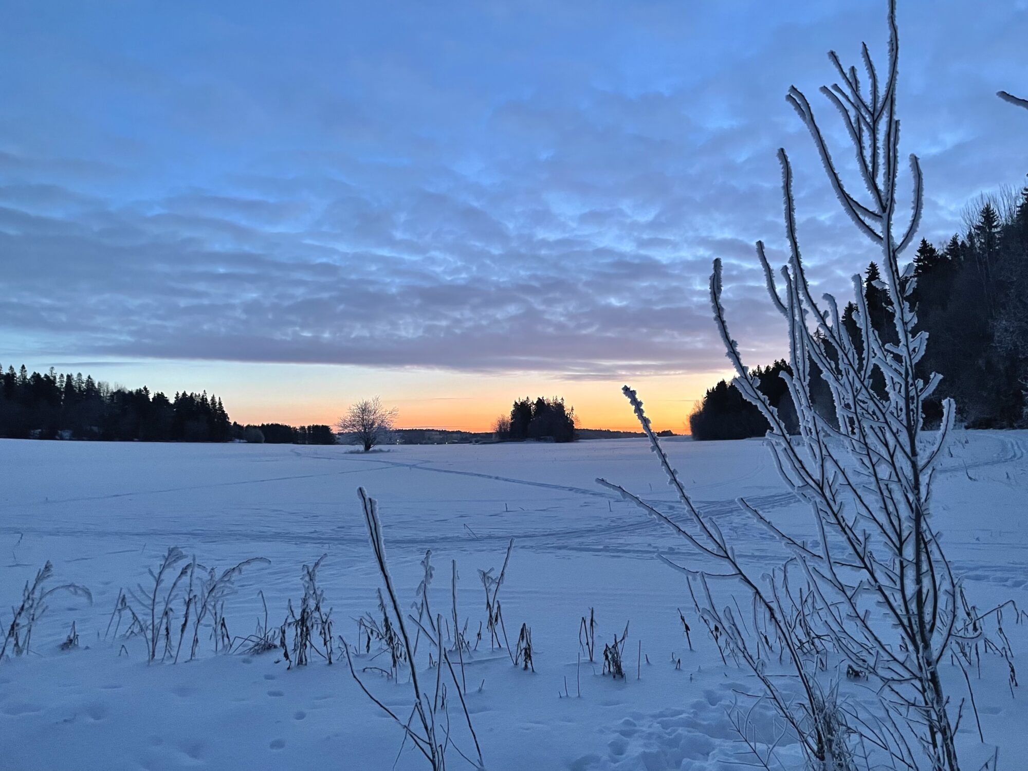 Valokuvaaja: Juhani Peltonen