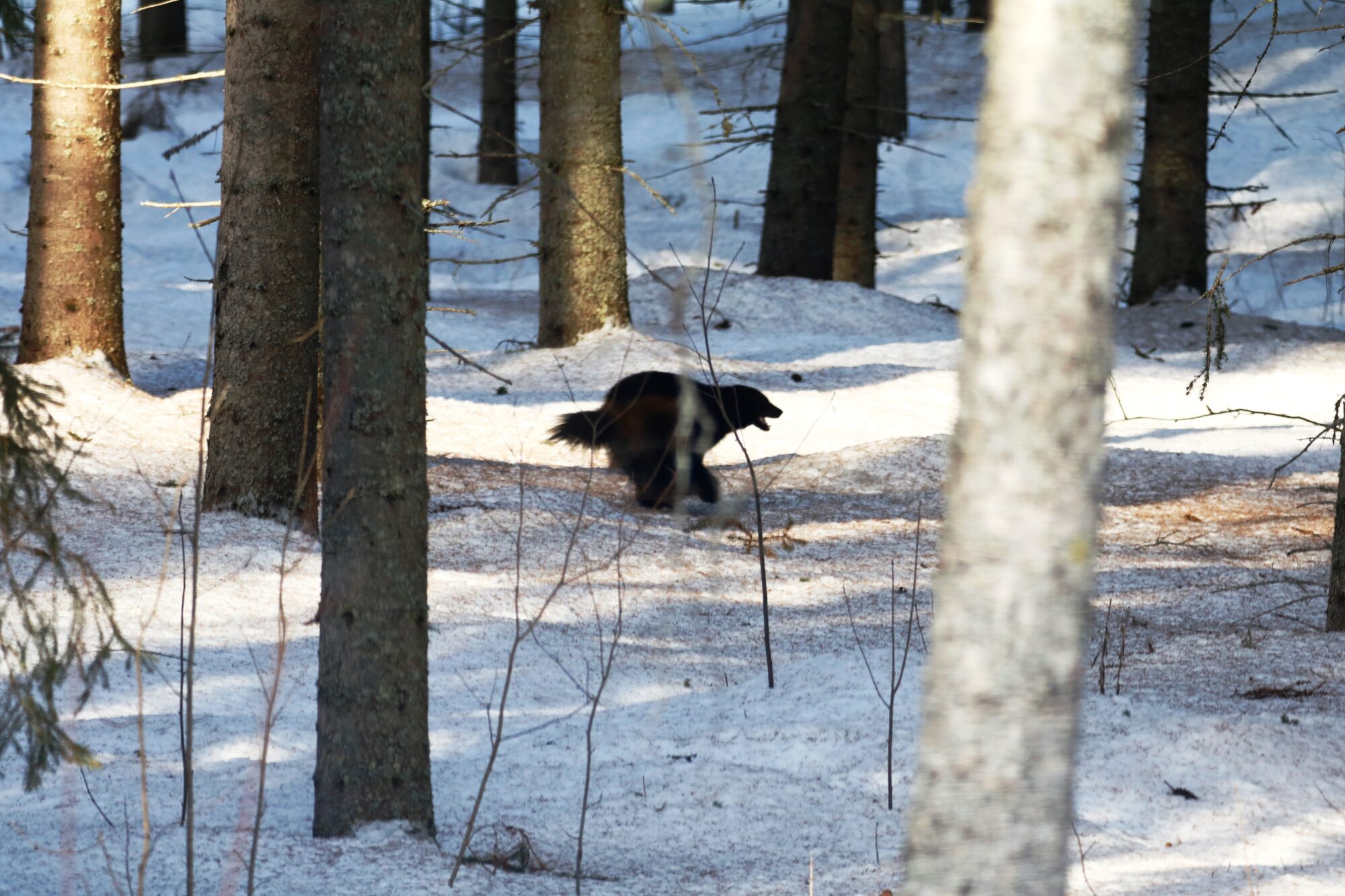 Valokuvaaja: Matti Eskelinen