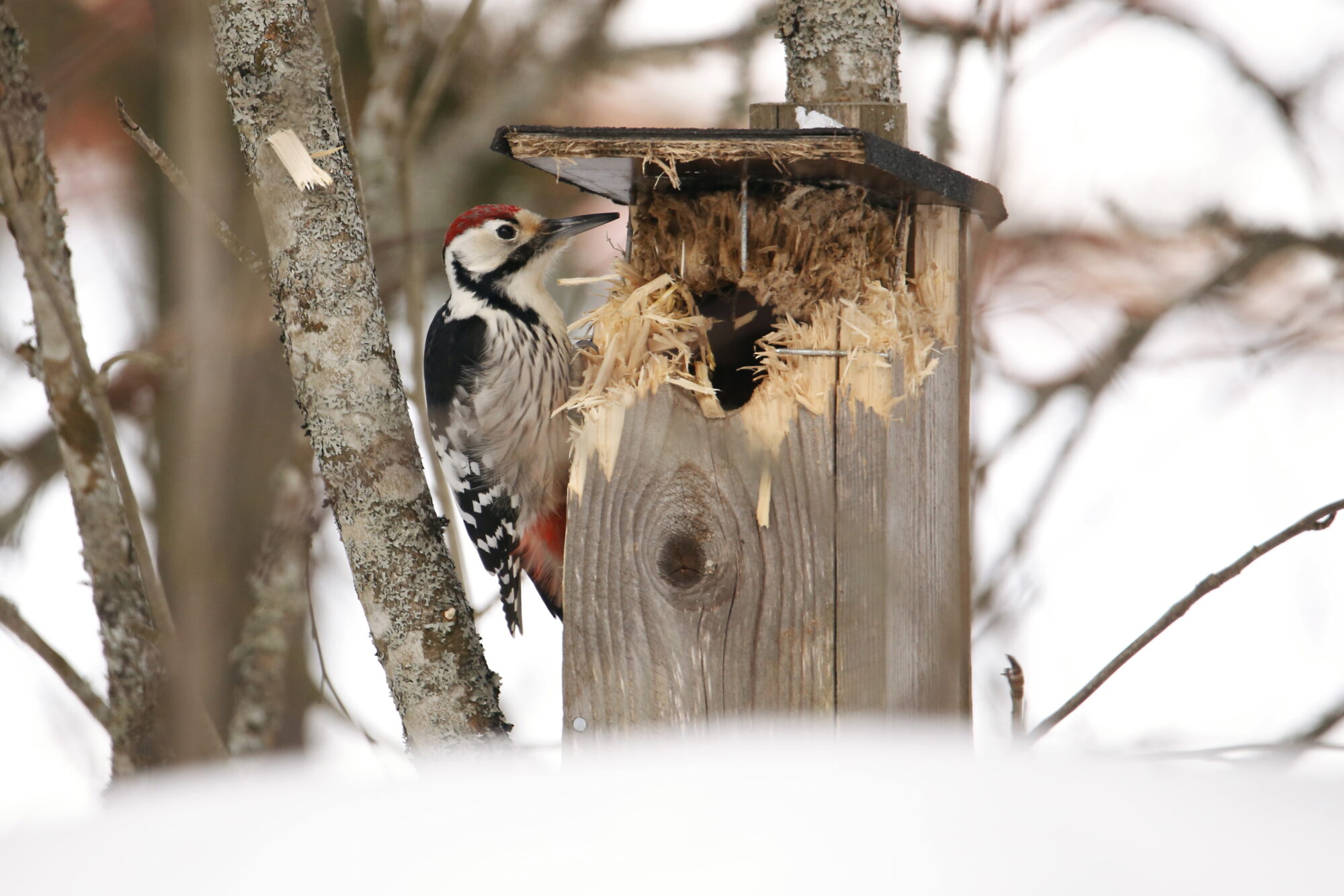 Valokuvaaja: Anne Jääskeläinen