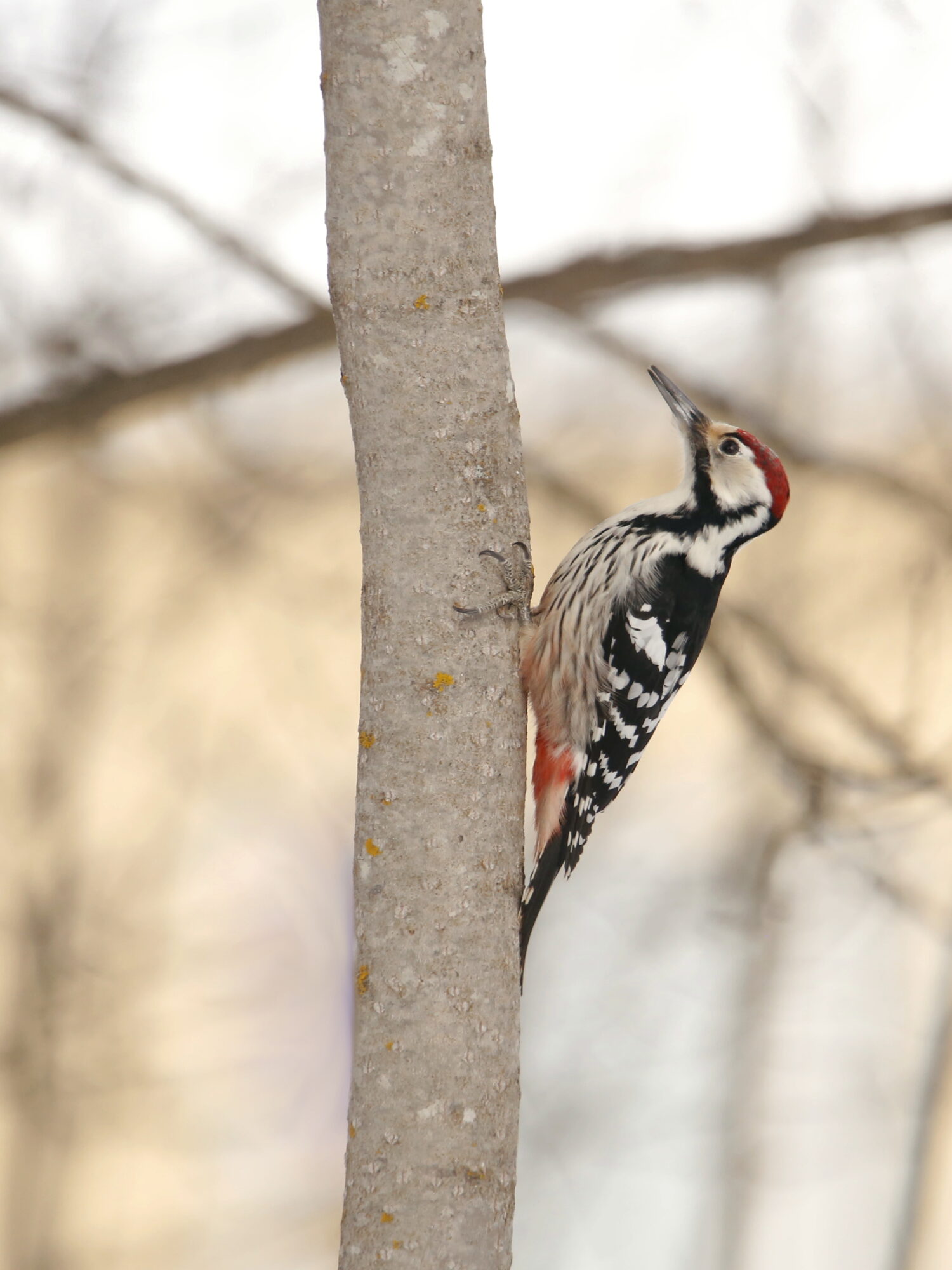Valokuvaaja: Anne Jääskeläinen