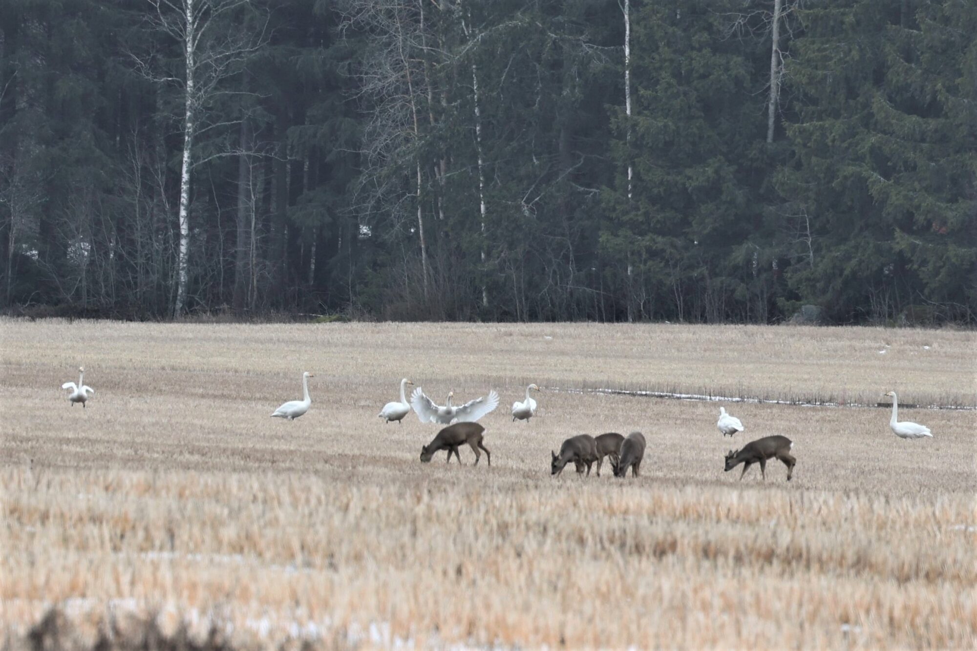 Valokuvaaja: Ari Lempiäinen