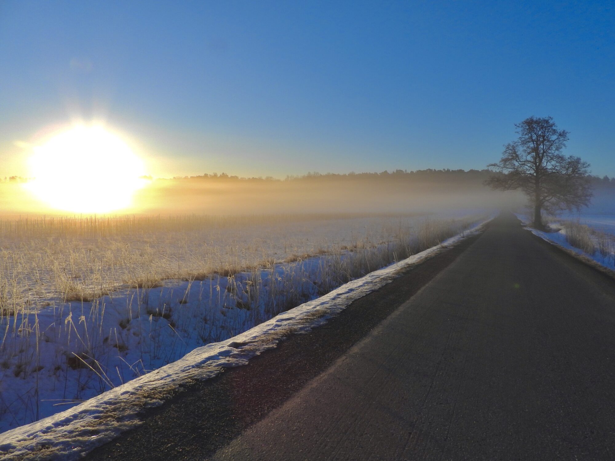 Valokuvaaja: Juhani Peltonen Valokuvaaja: Juhani Peltonen