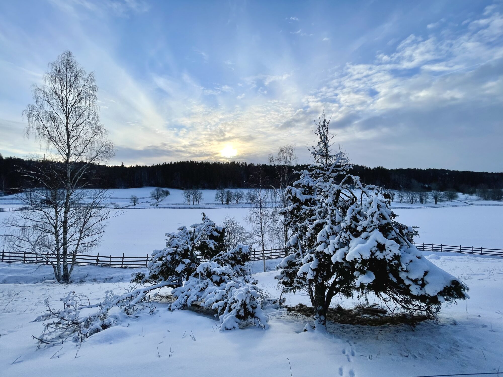 Valokuvaaja: Juhani Peltonen