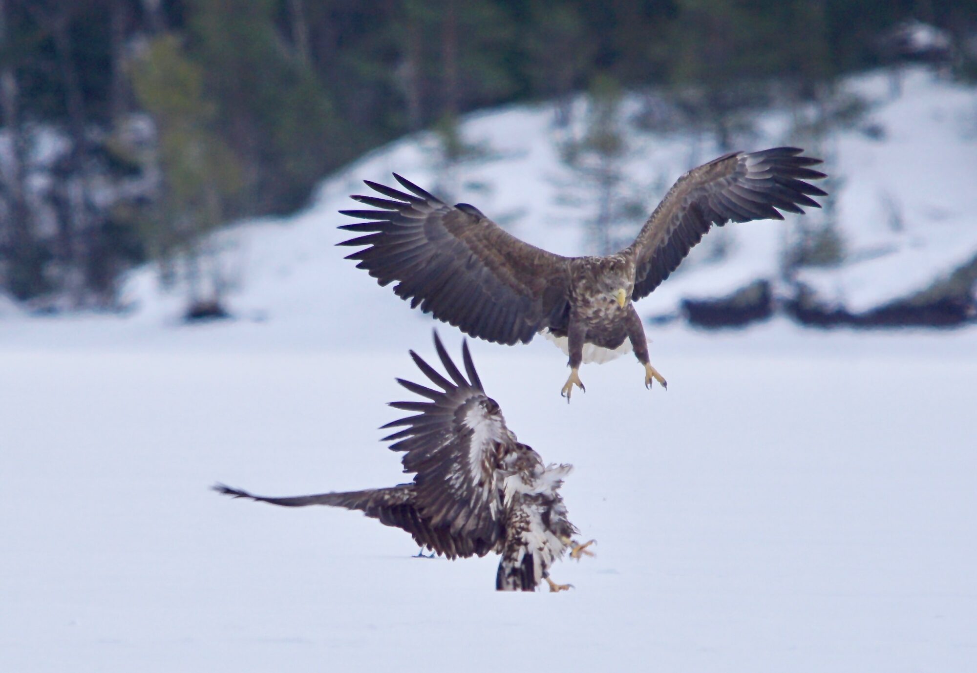 Valokuvaaja: Markku Ranta-Eilola