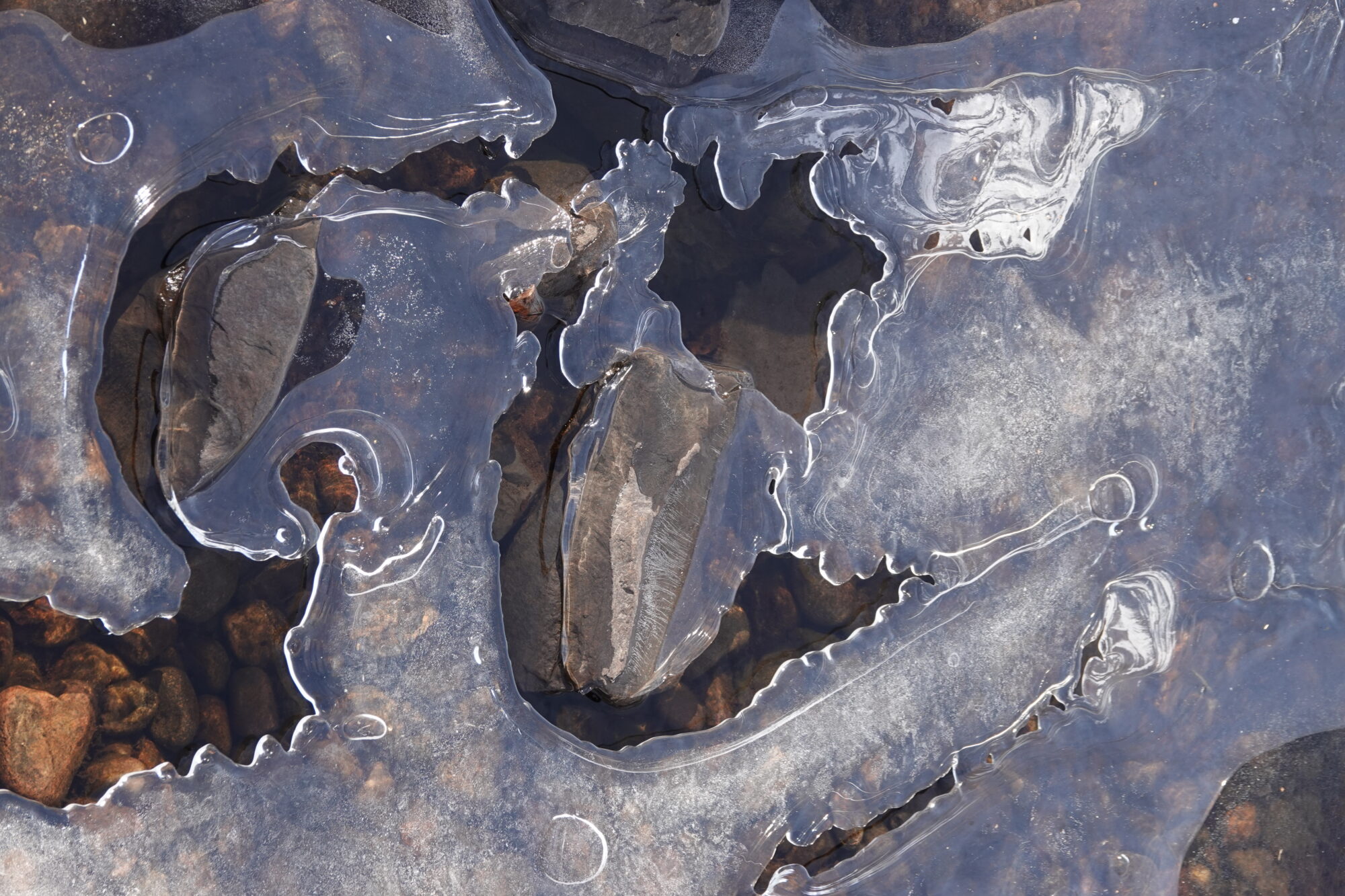 Valokuvaaja: Jenna Pitkänen