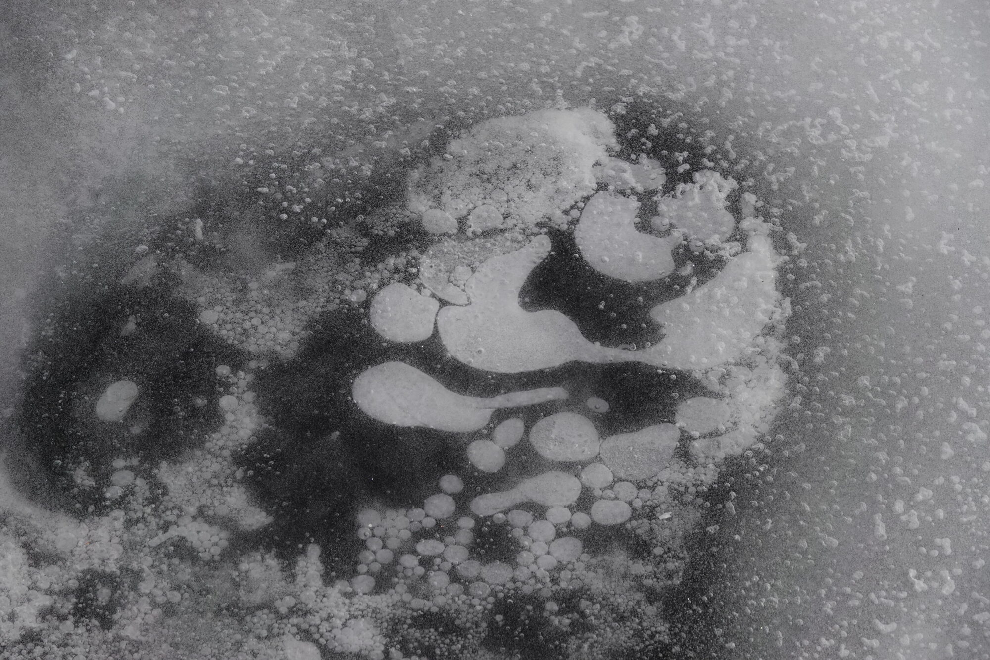 Valokuvaaja: Jenna Pitkänen